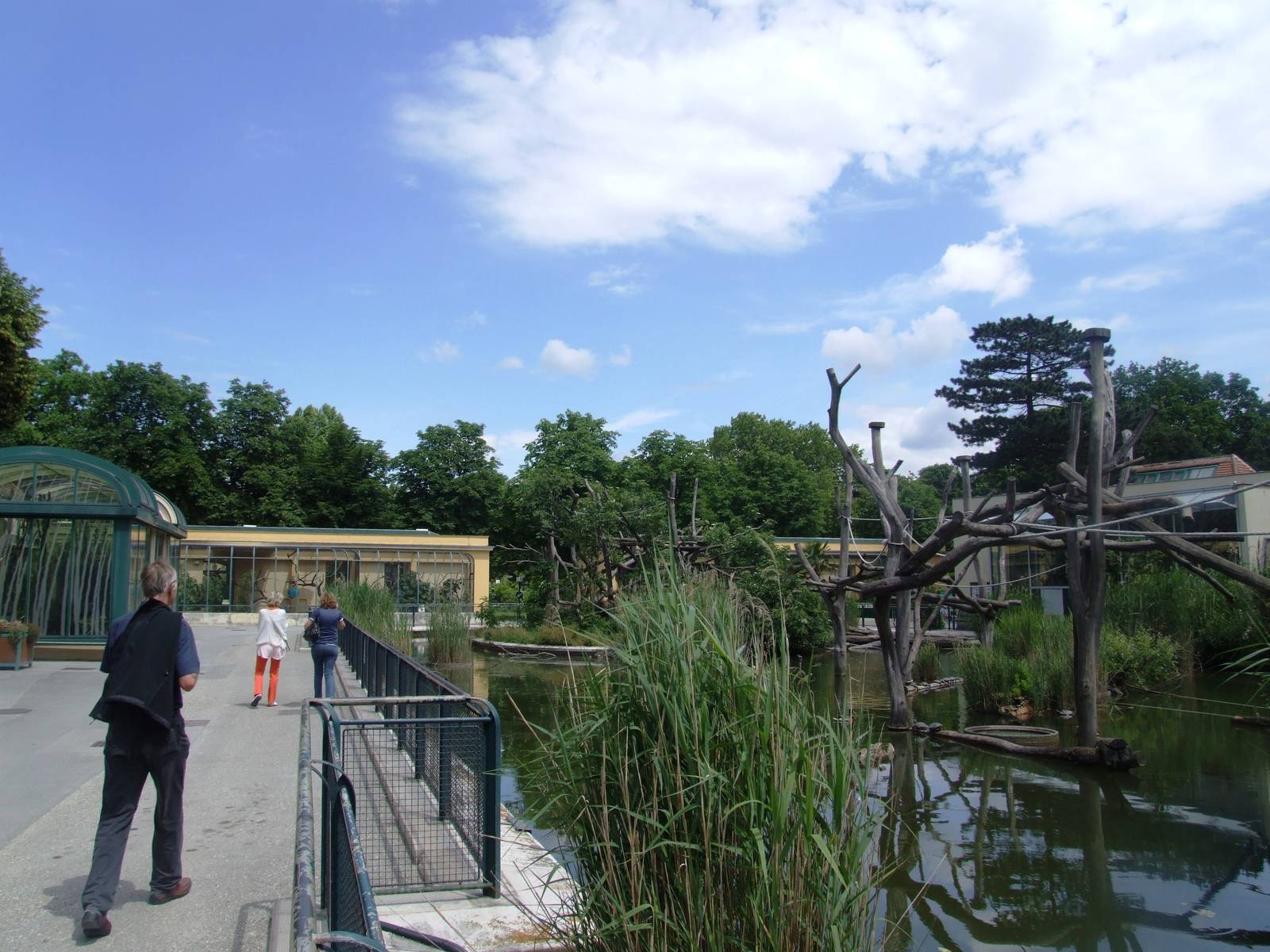 General View at Vienna, 14/06/13