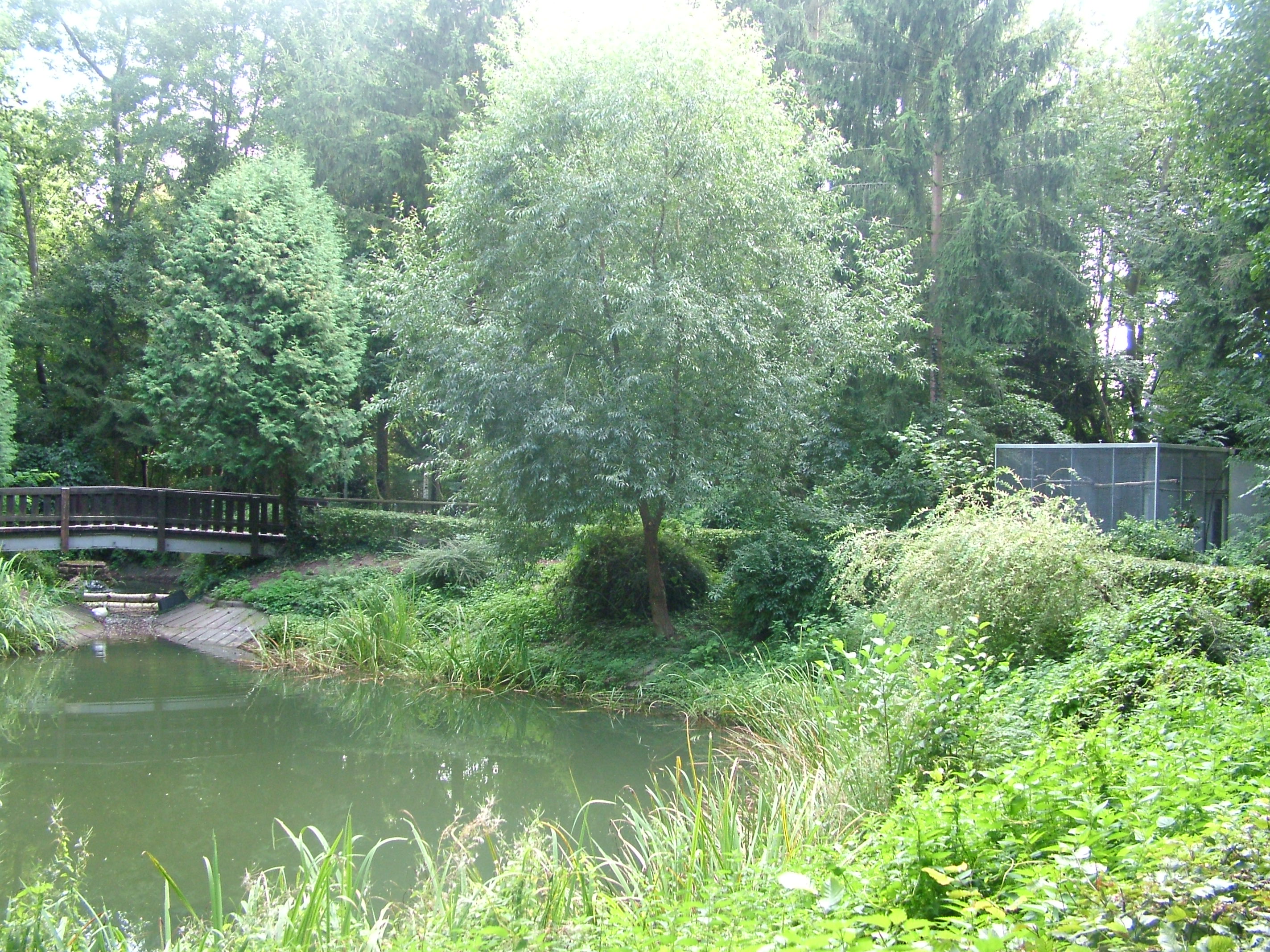 General View at Vogelpark Erlenwald, 3rd Sept 2010