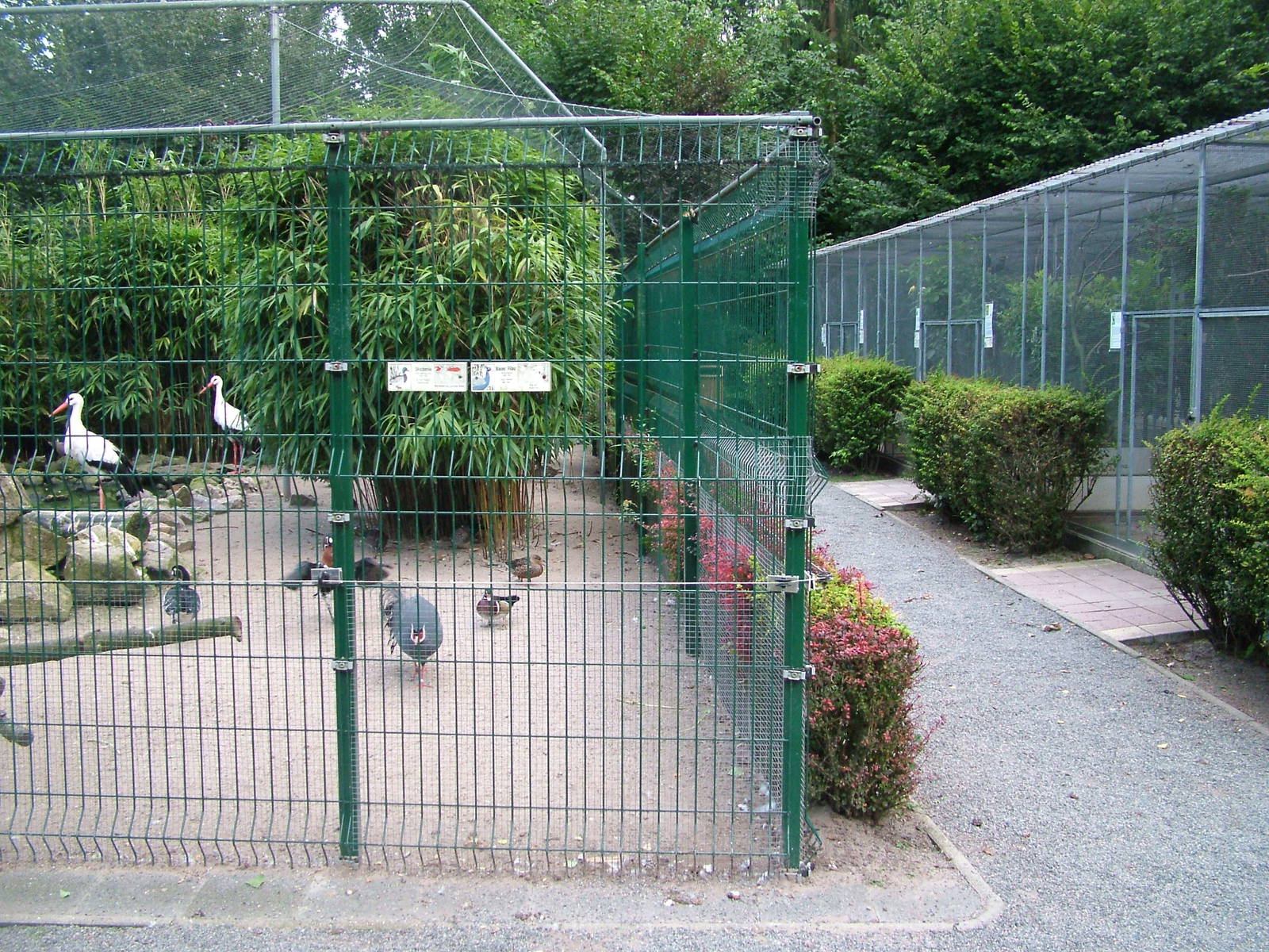 General View at Vogelpark Heddesheim, 06/09/10