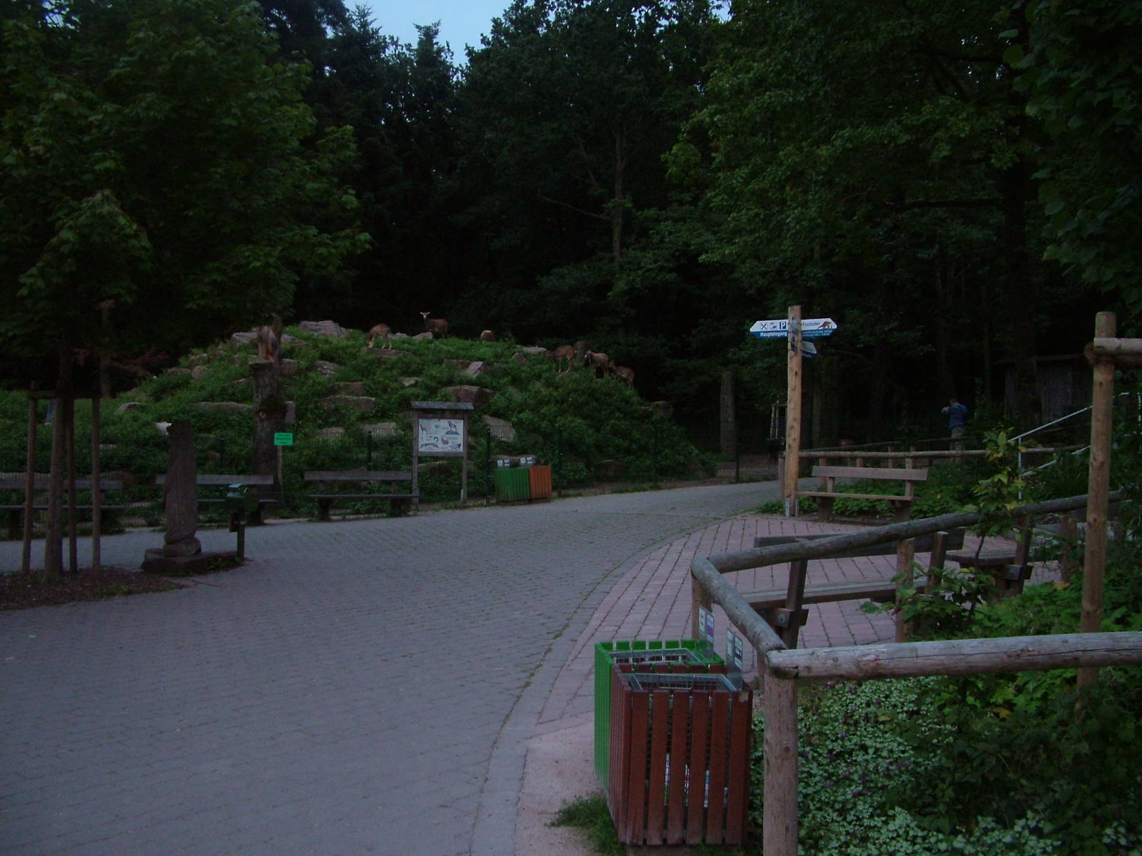 General View at Wildpark Pforzheim, 02/09/10