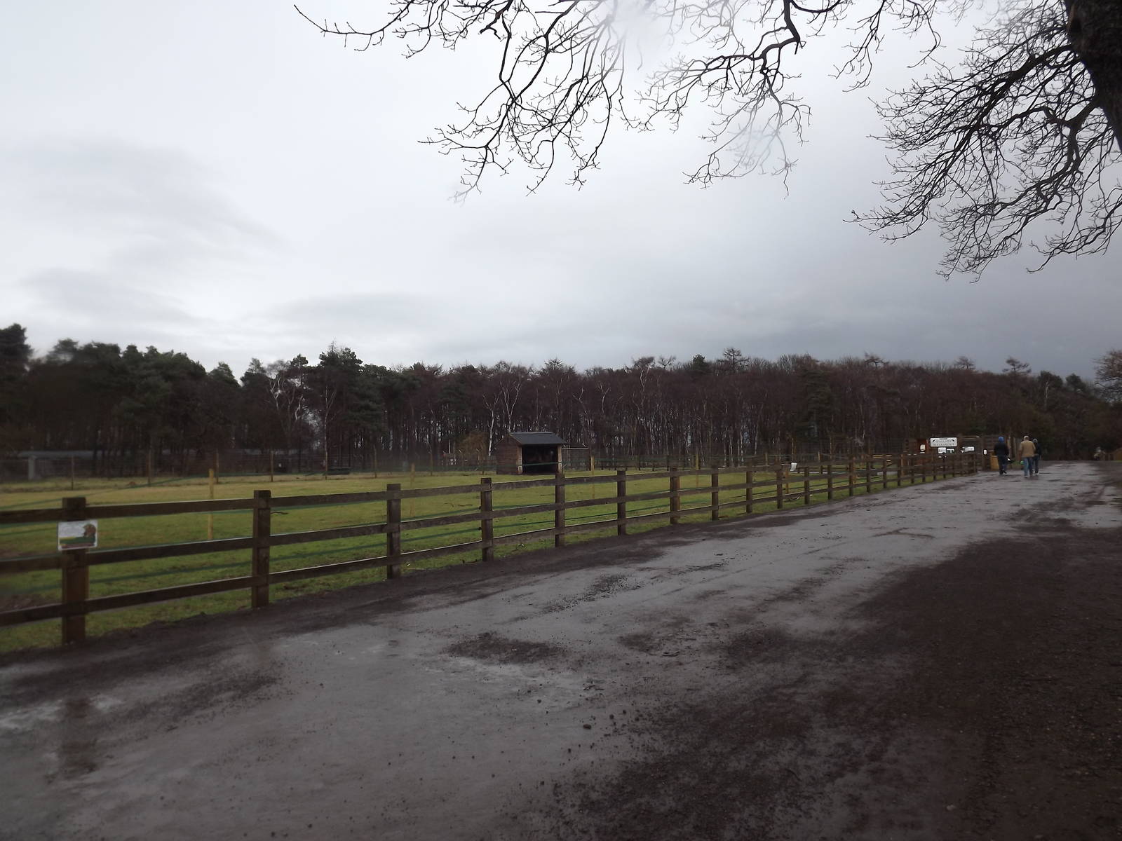 General view at Yorkshire Wildlife Park 18/02/12