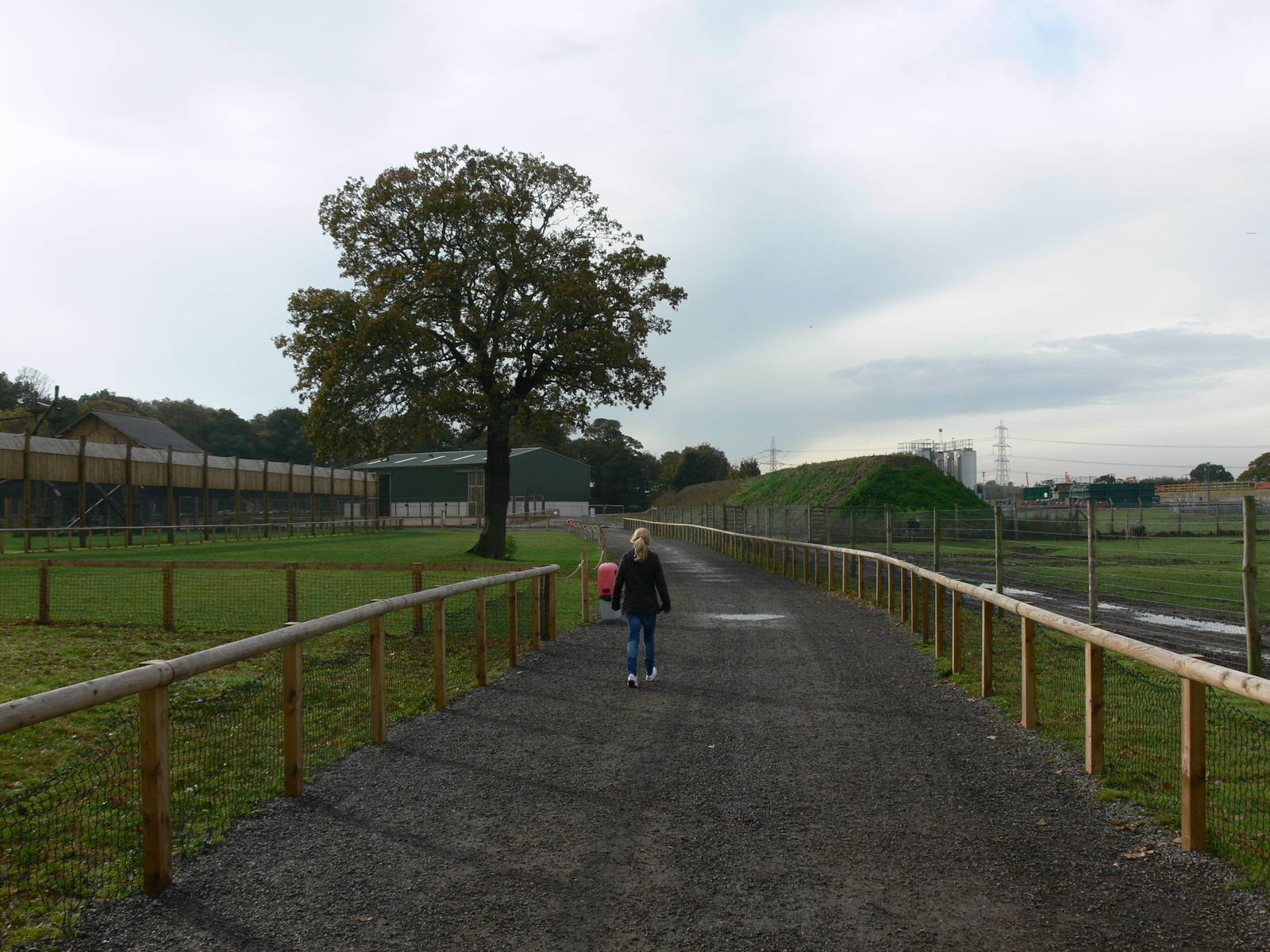 General View at Yorkshire WP 01/11/12