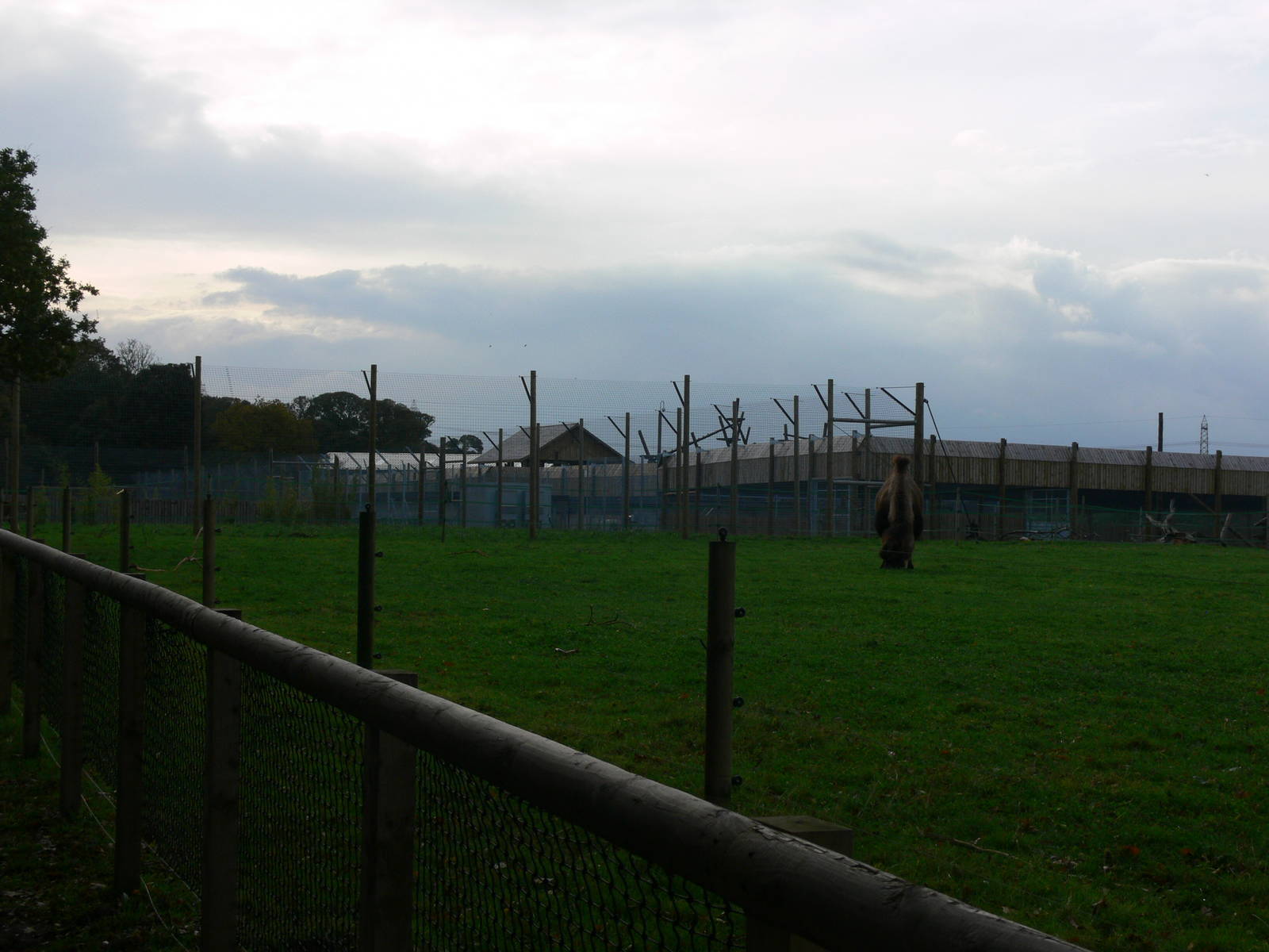 General View at Yorkshire WP 01/11/12