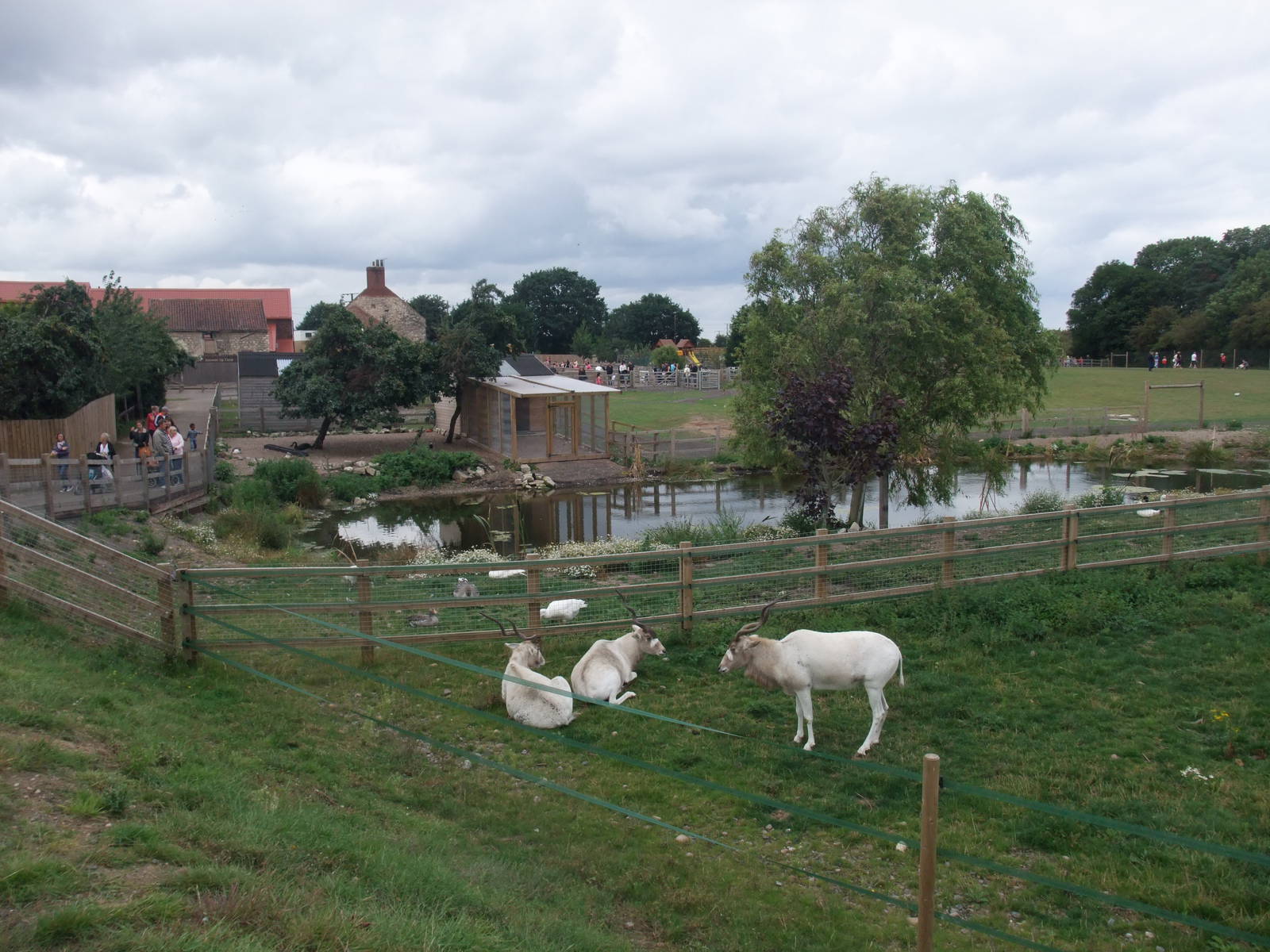 General View at Yorkshire WP, 07/08/11