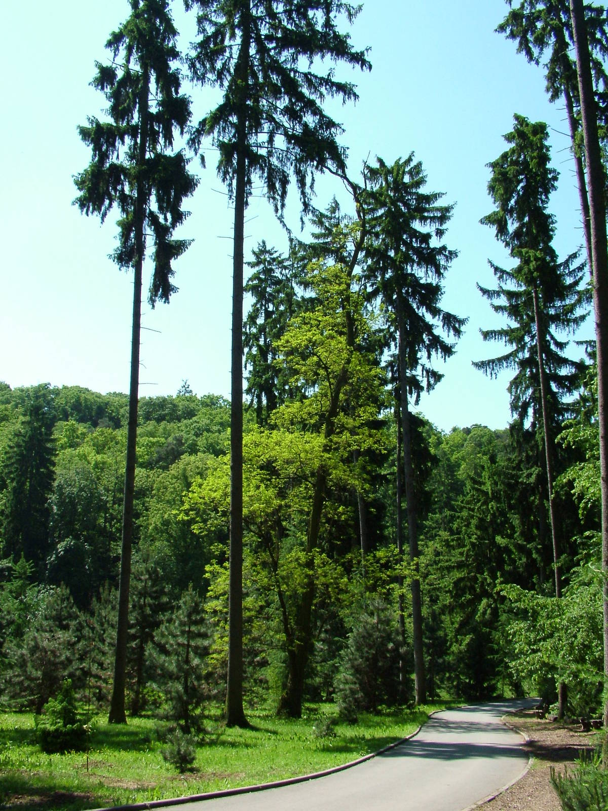 General view at Zlin, 28/05/10