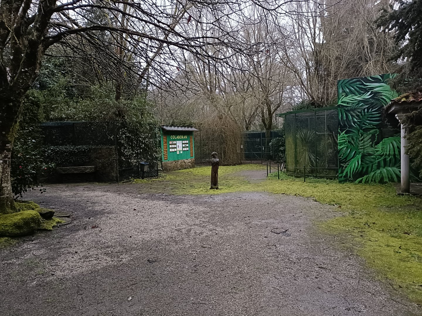 General view - Avifauna lugo