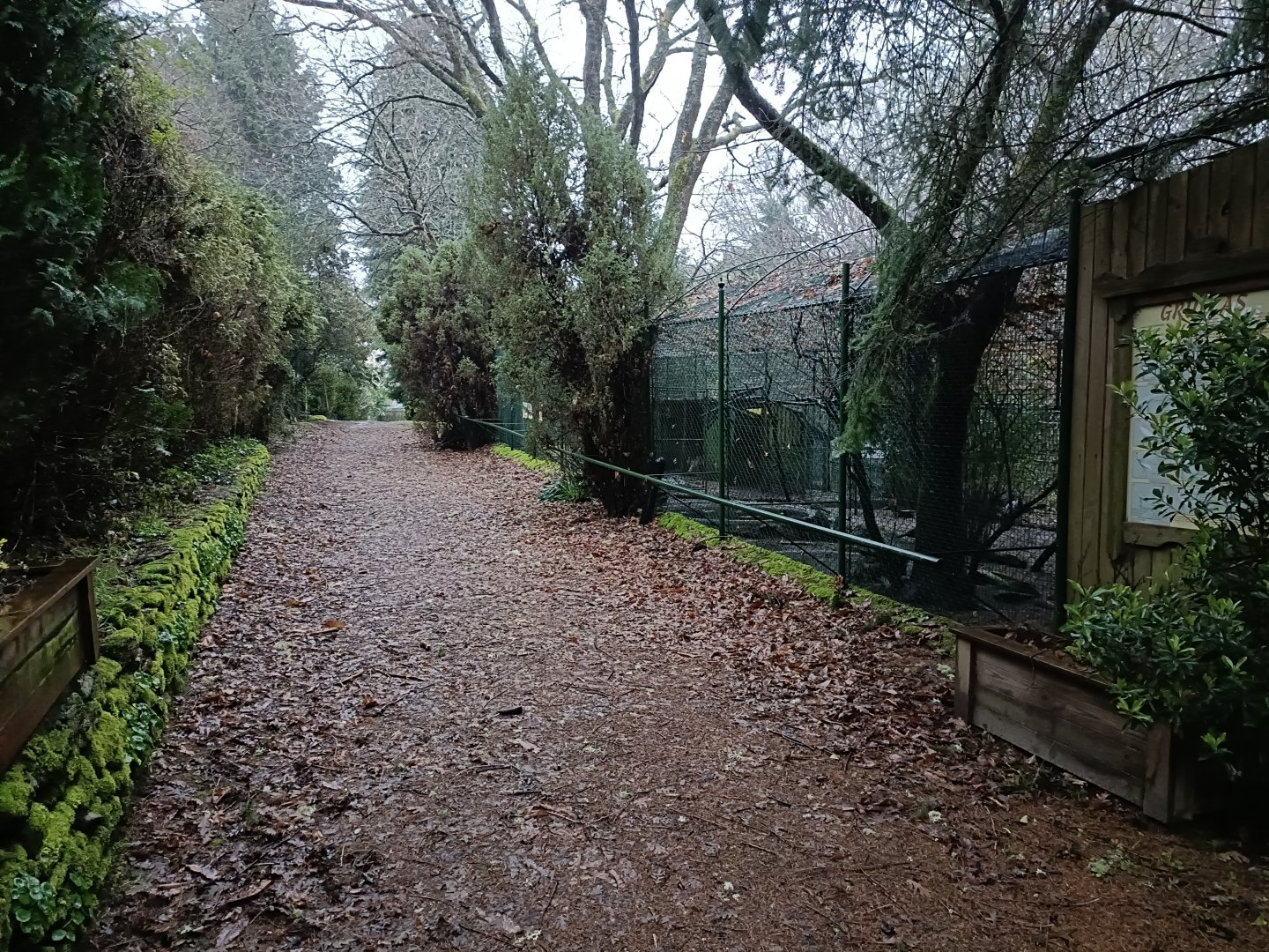 General view - Avifauna lugo