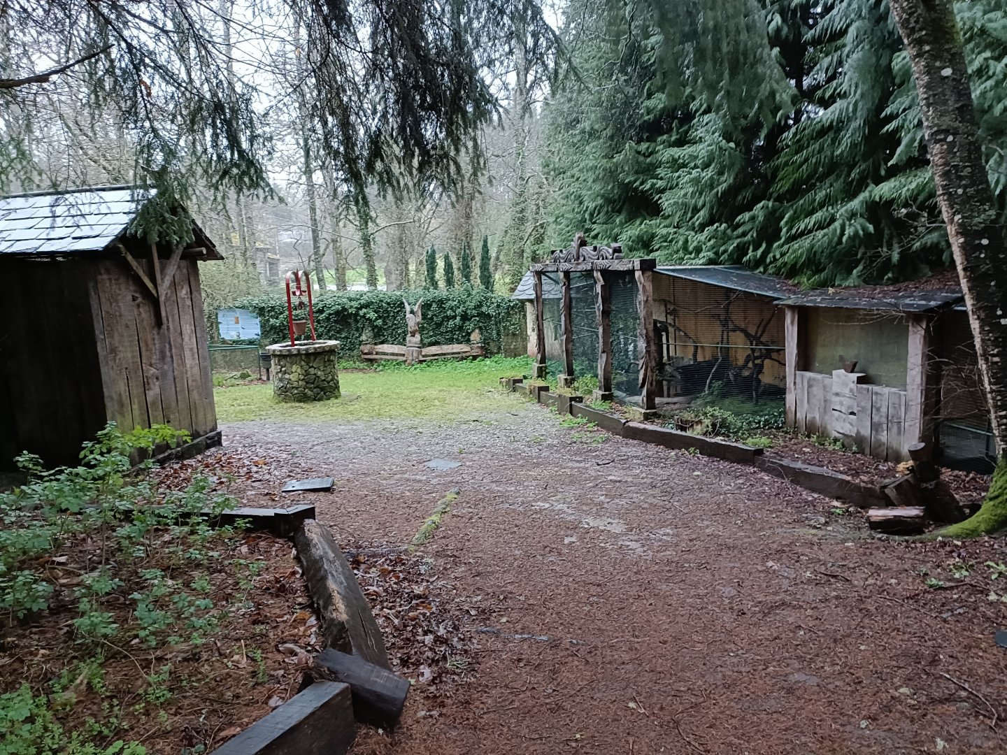 General view - Avifauna lugo