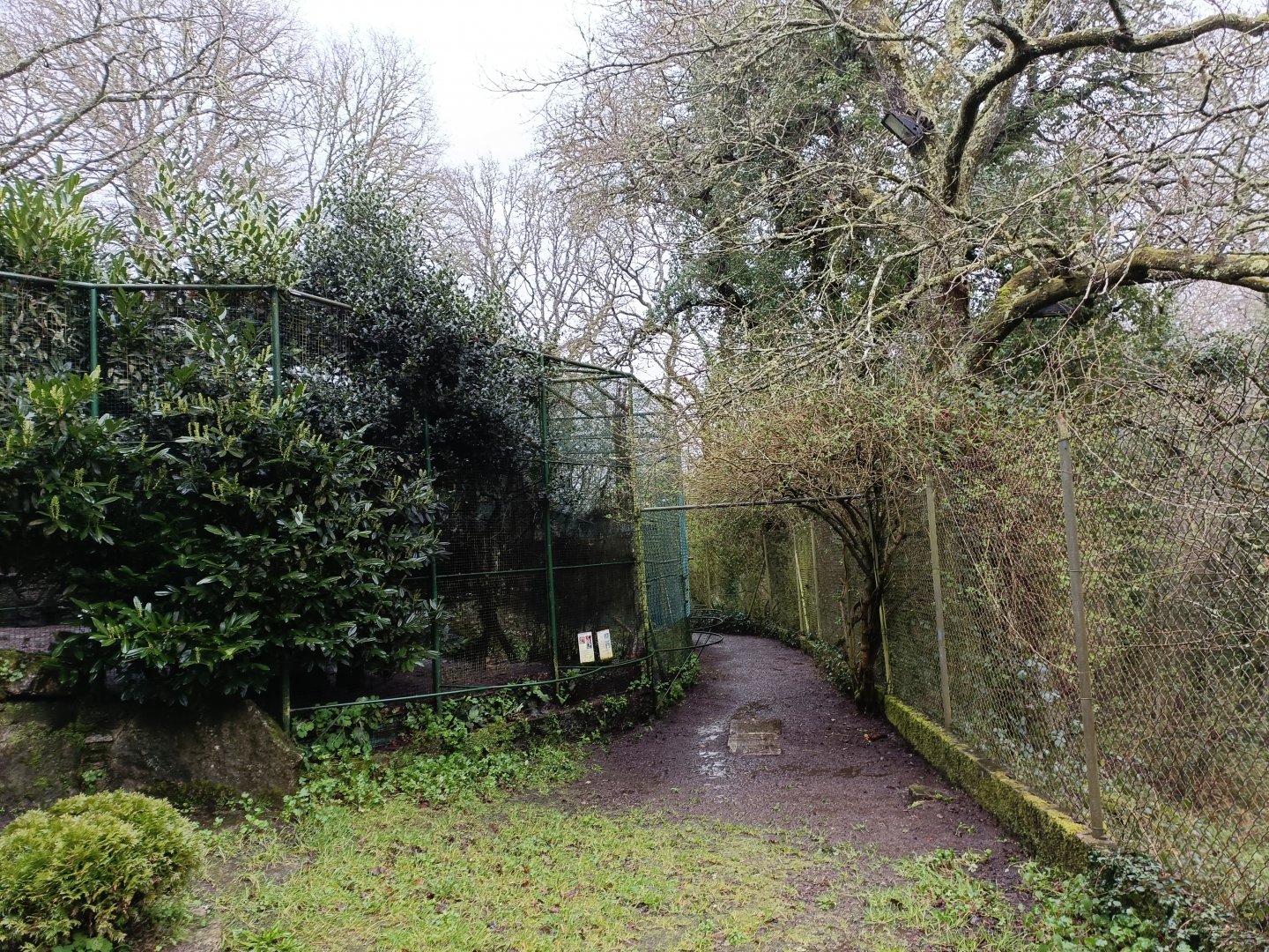 General view - Avifauna Lugo