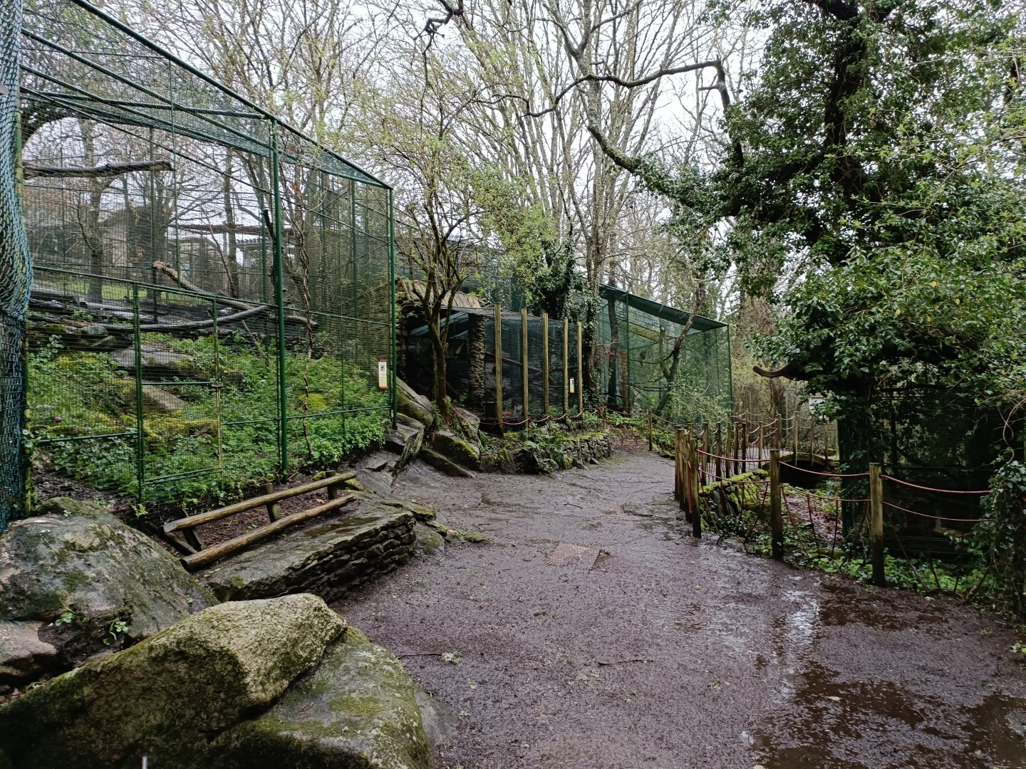 General view - Avifauna Lugo