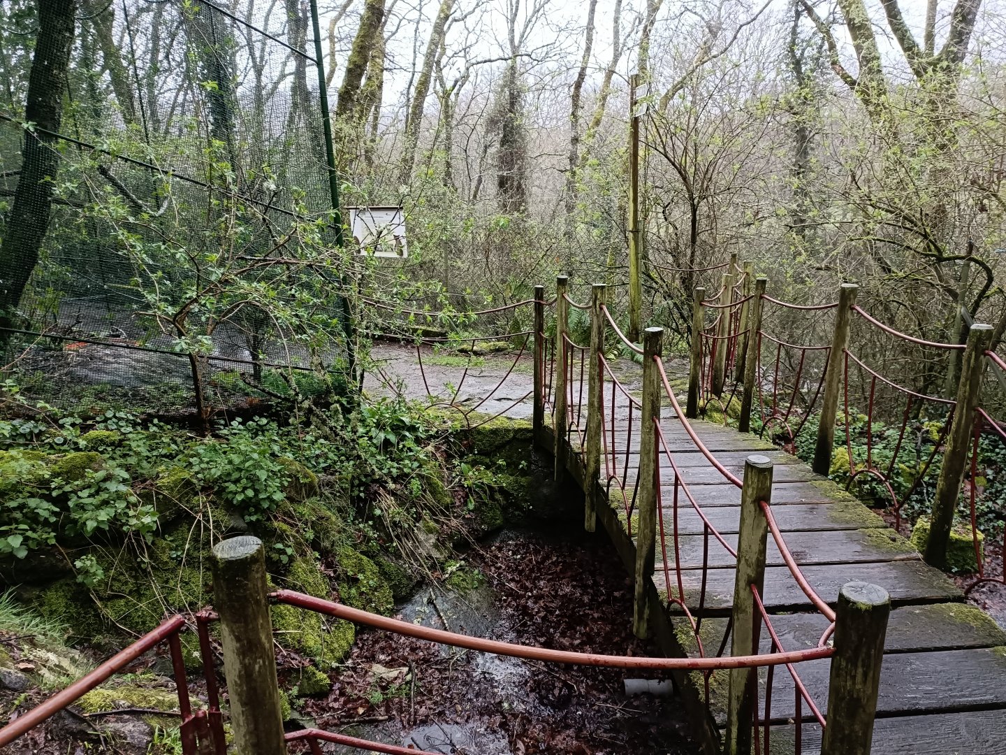 General view - Avifauna Lugo