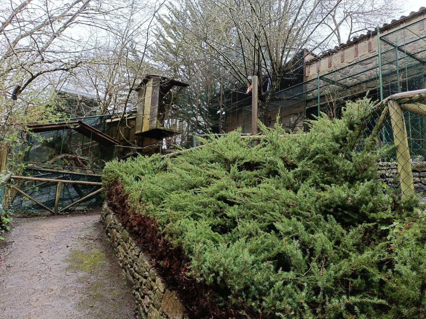 General view - Avifauna Lugo