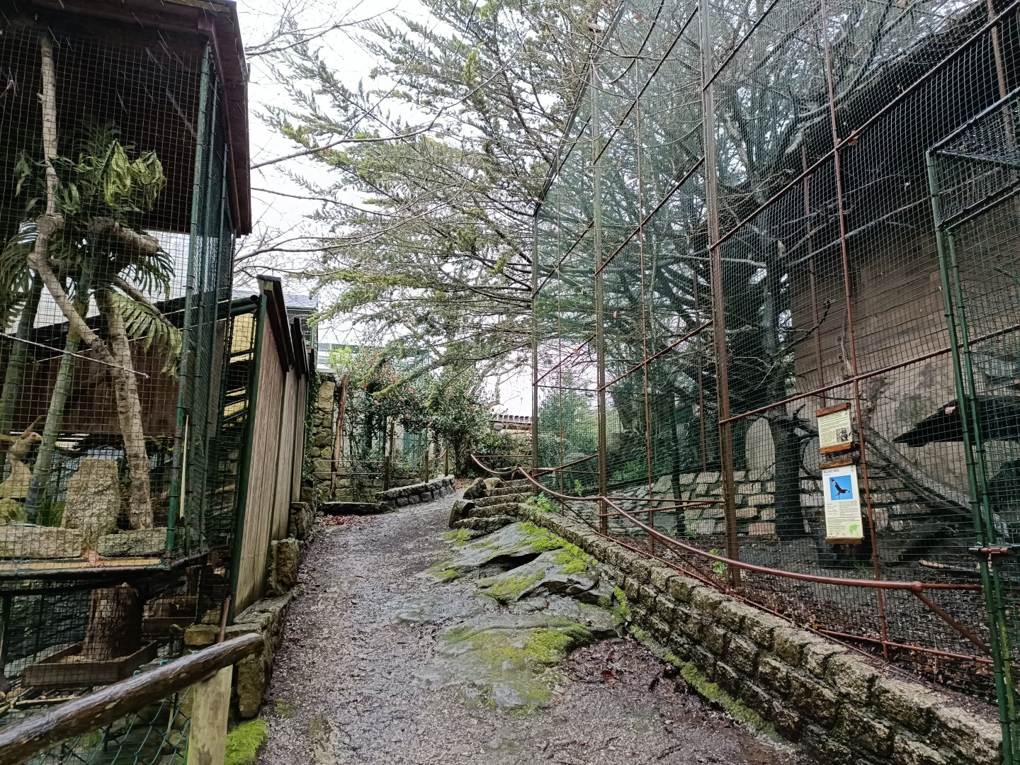 General view - Avifauna Lugo