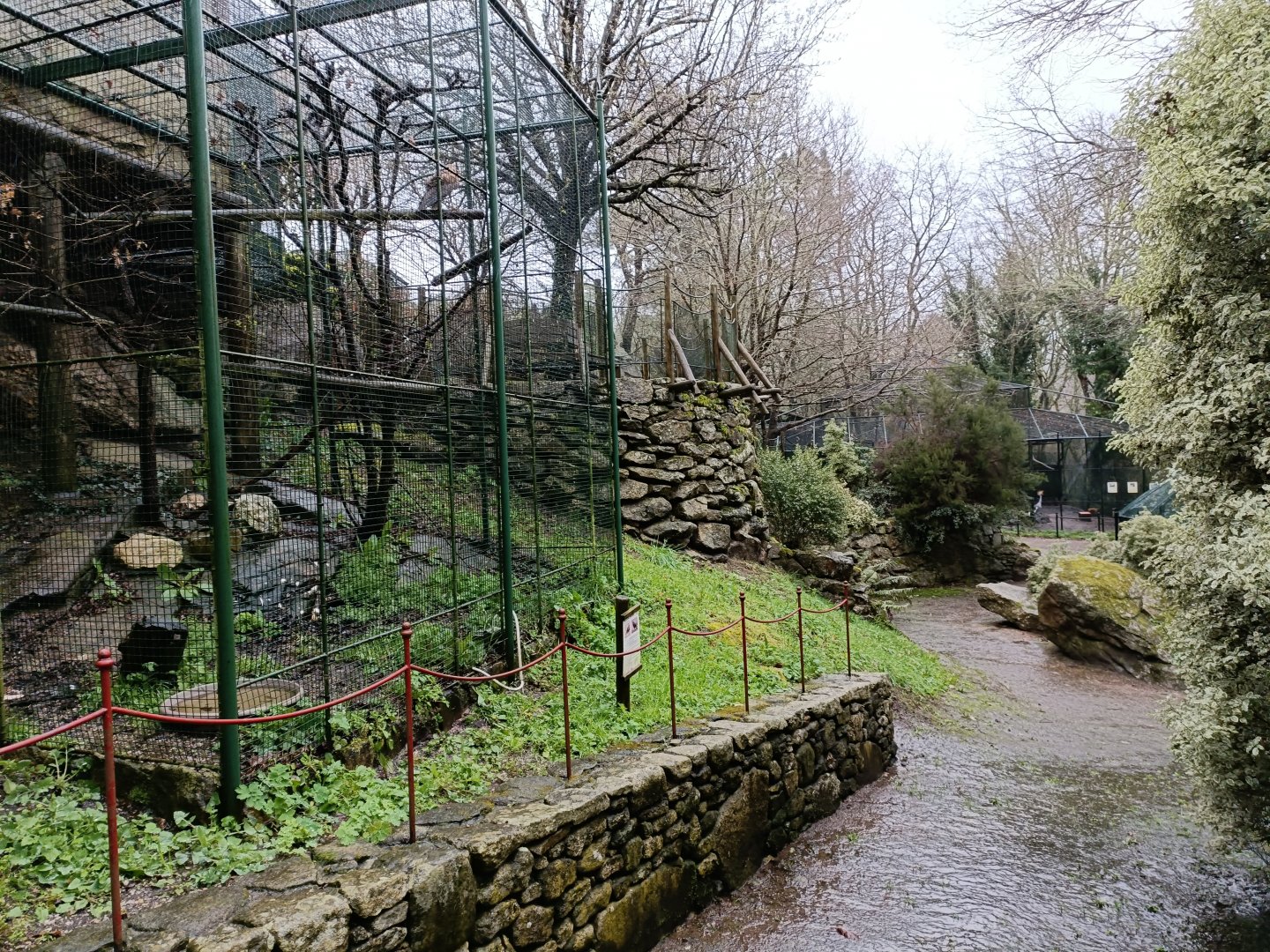 General view - Avifauna Lugo