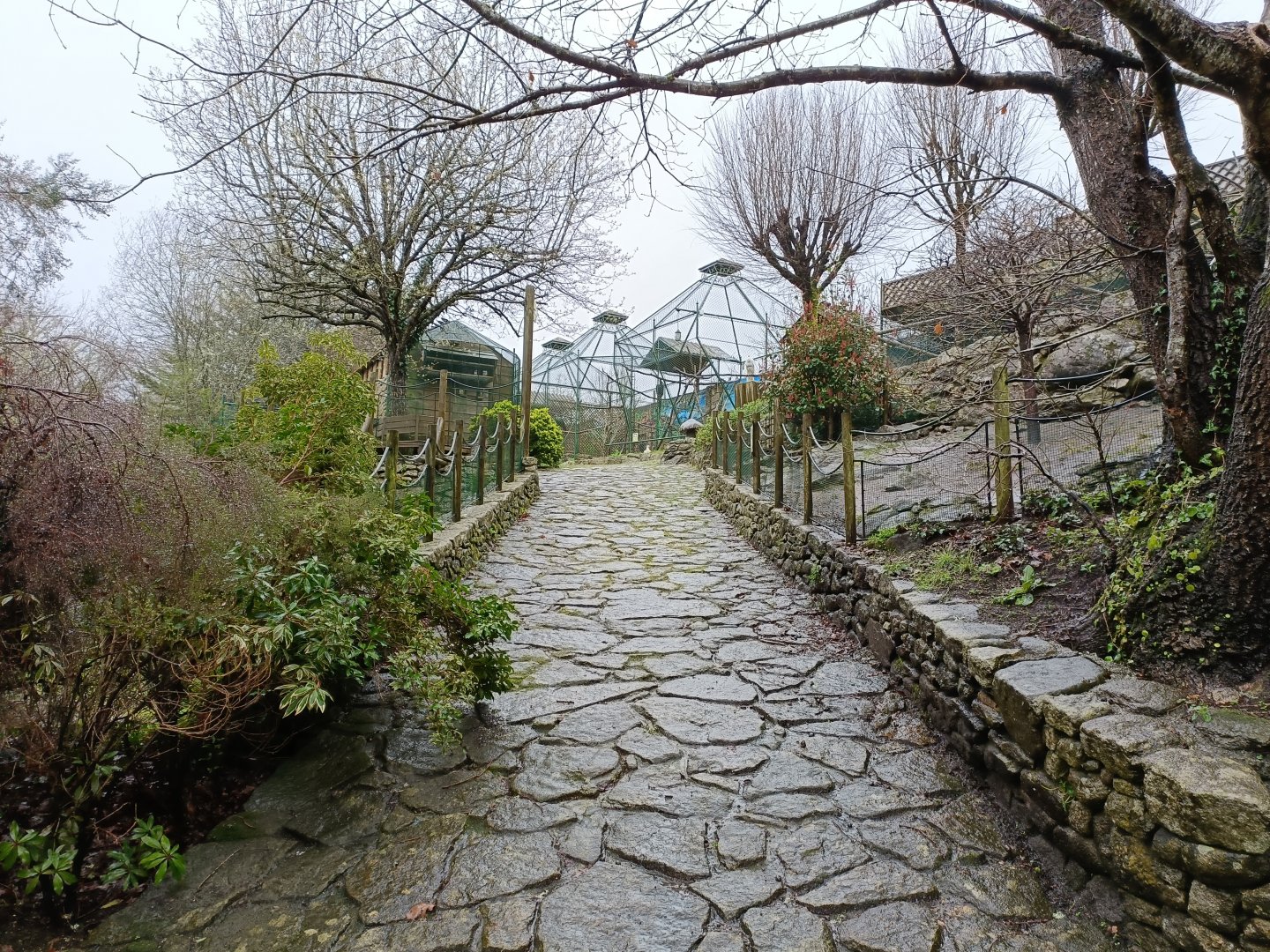 General view - Avifauna Lugo