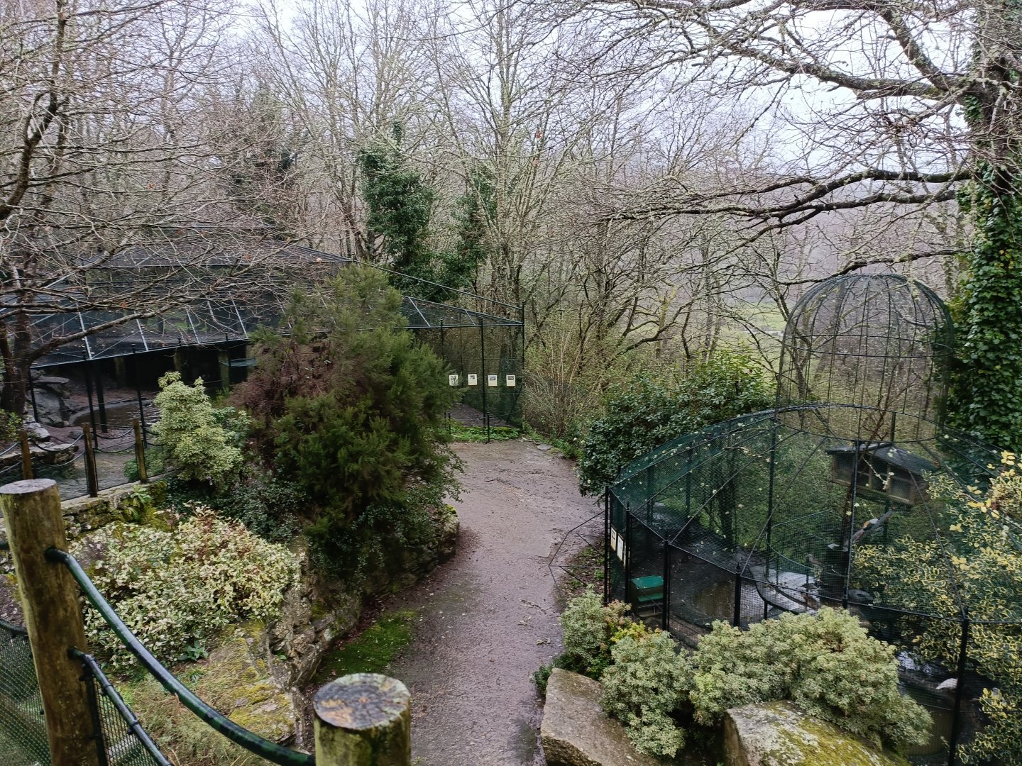 General view - Avifauna Lugo