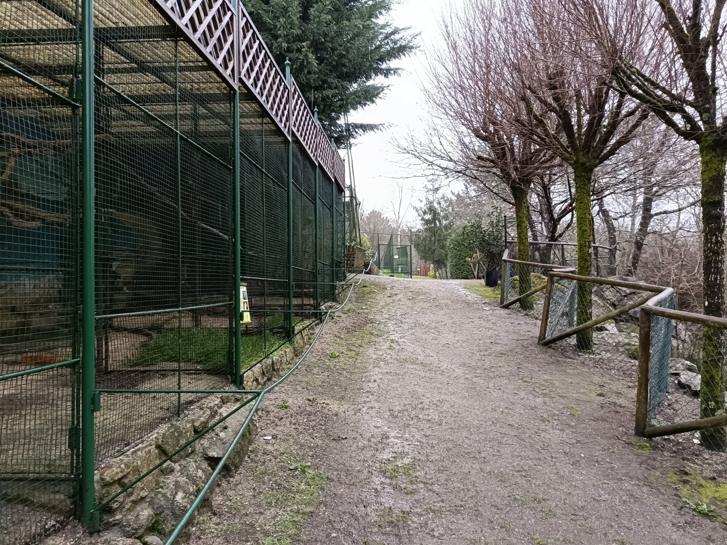 General view - Avifauna Lugo