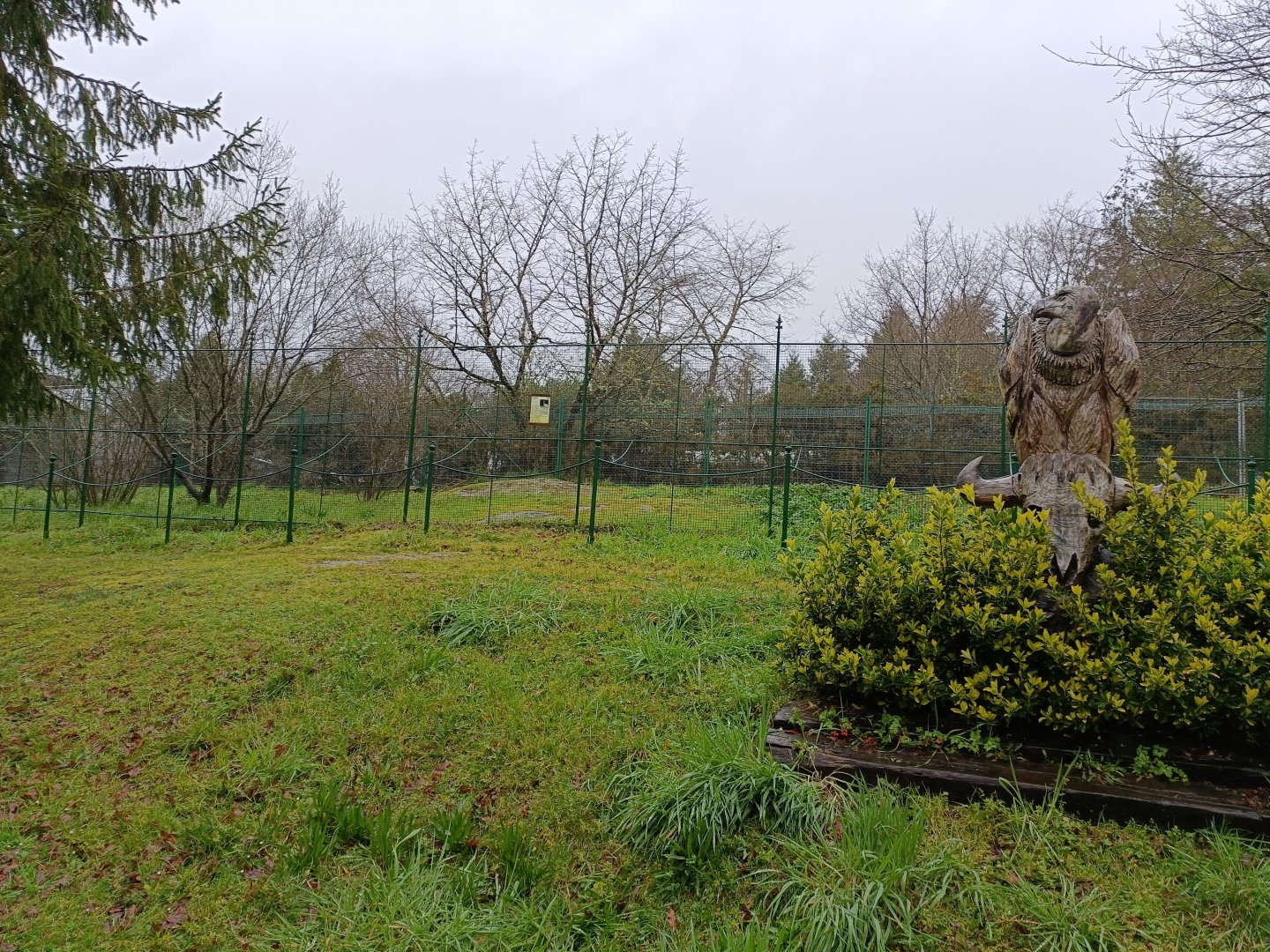 General view - Avifauna Lugo