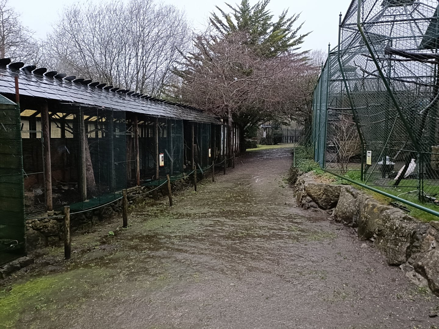General view - Avifauna Lugo