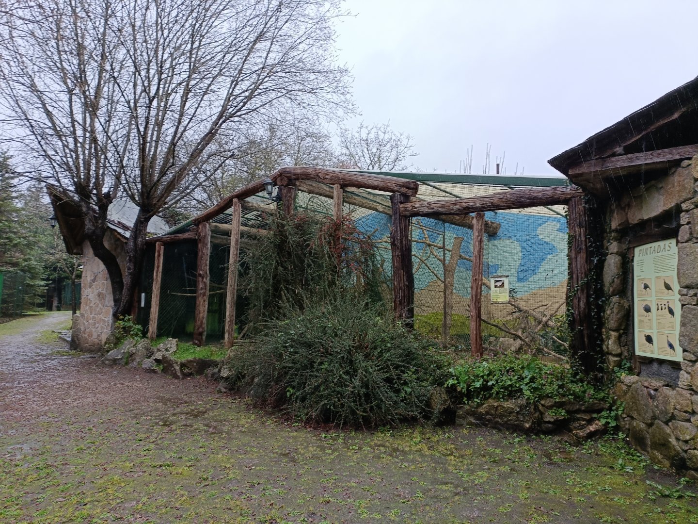 General view - Avifauna Lugo