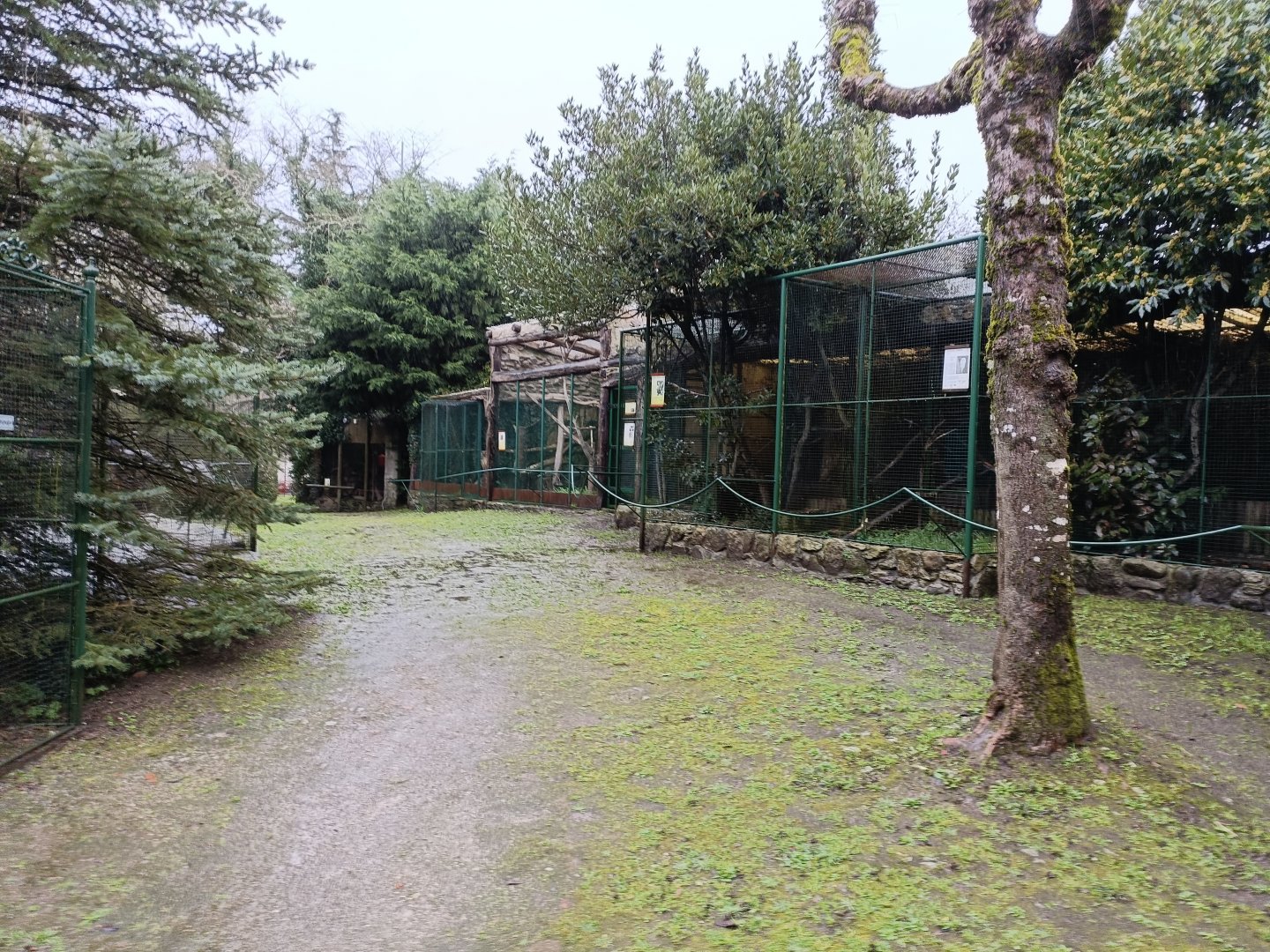 General view - Avifauna Lugo
