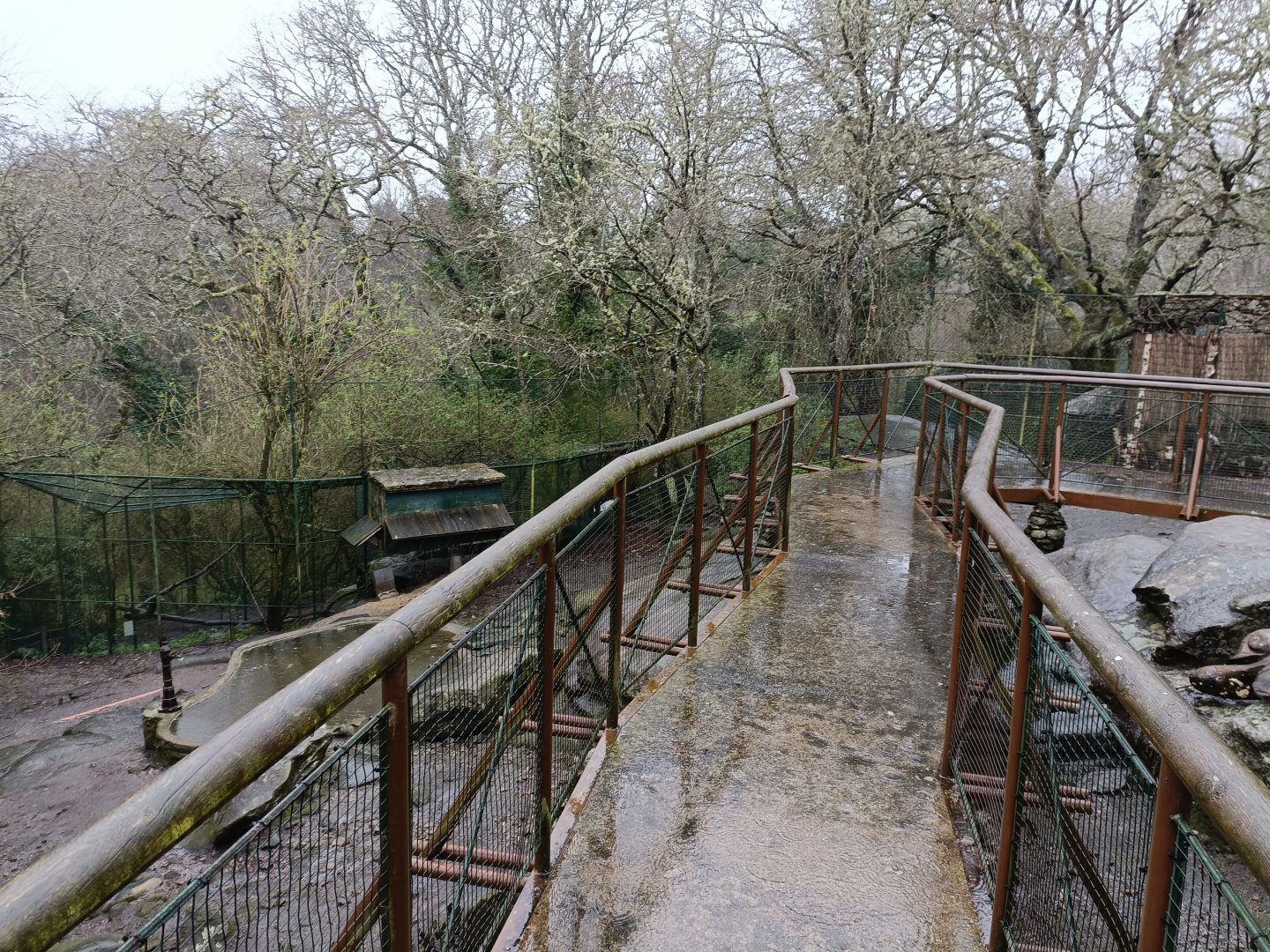 General view - Avifauna Lugo