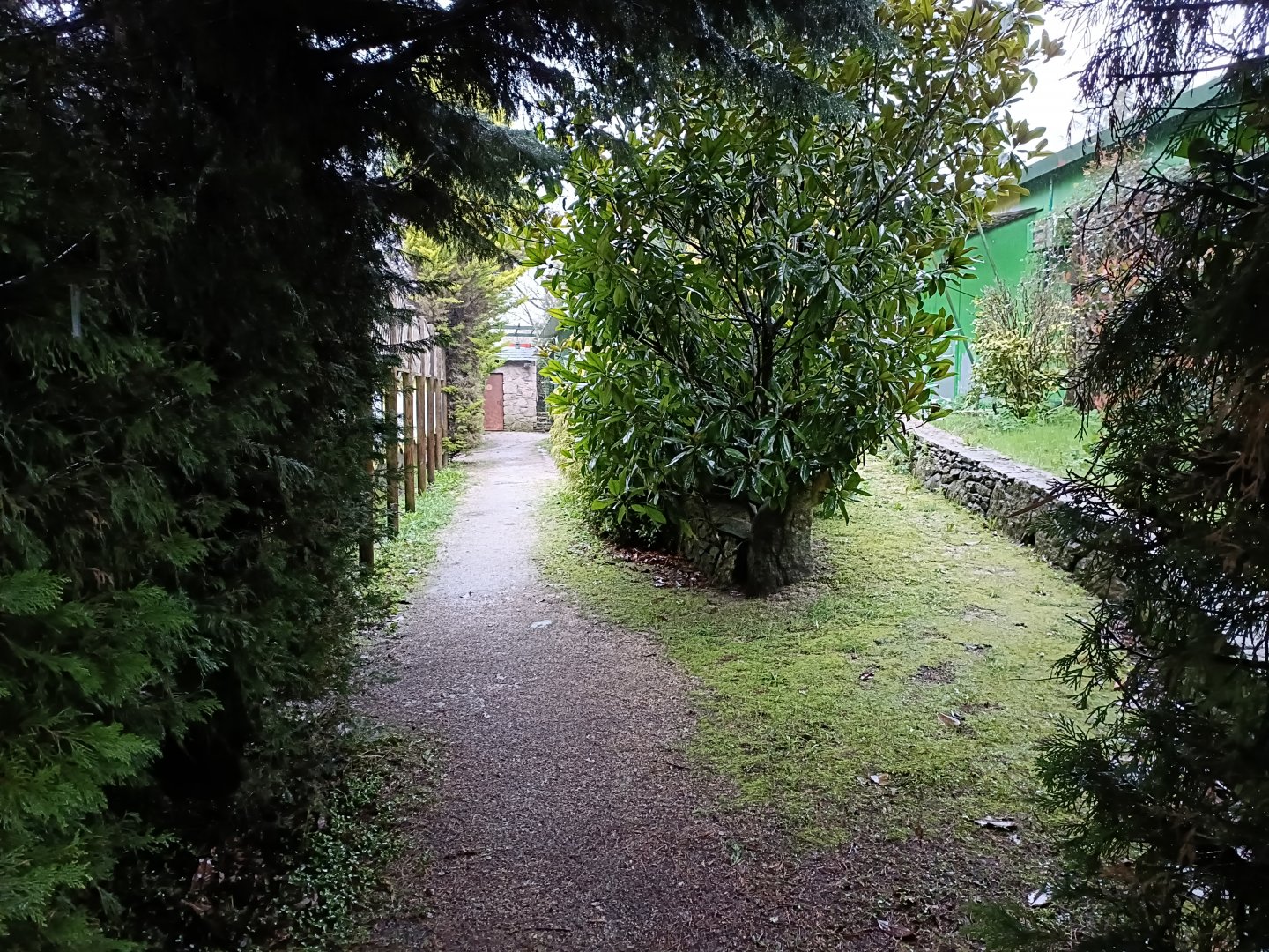 General view - Avifauna Lugo