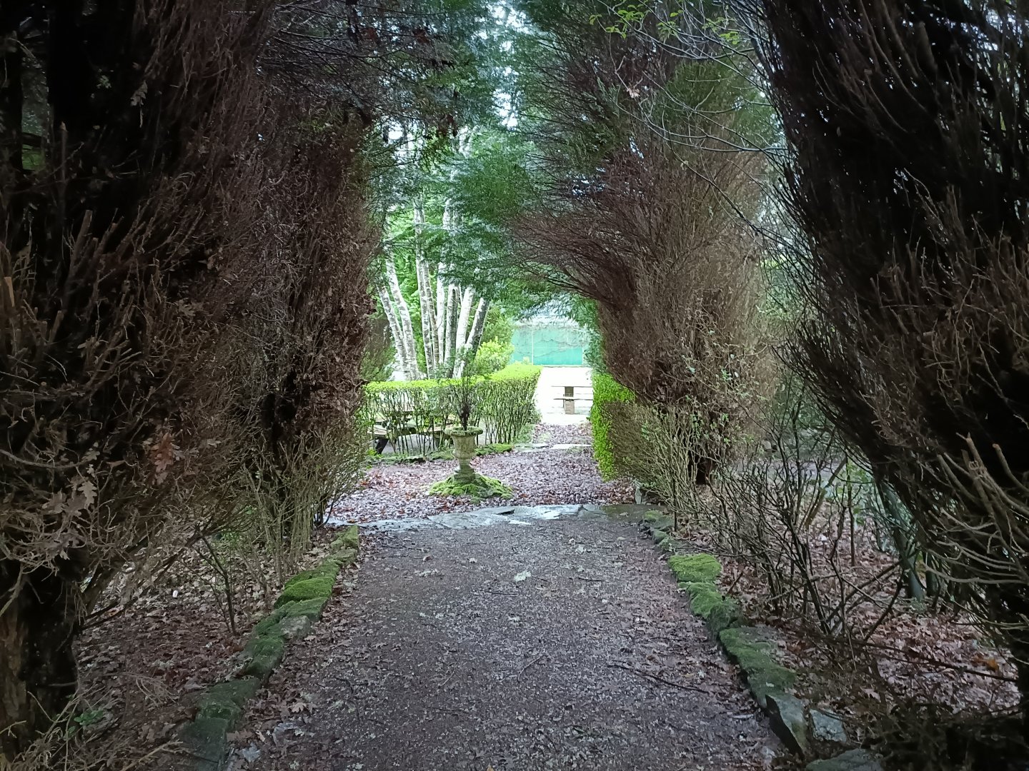 General view - Avifauna Lugo