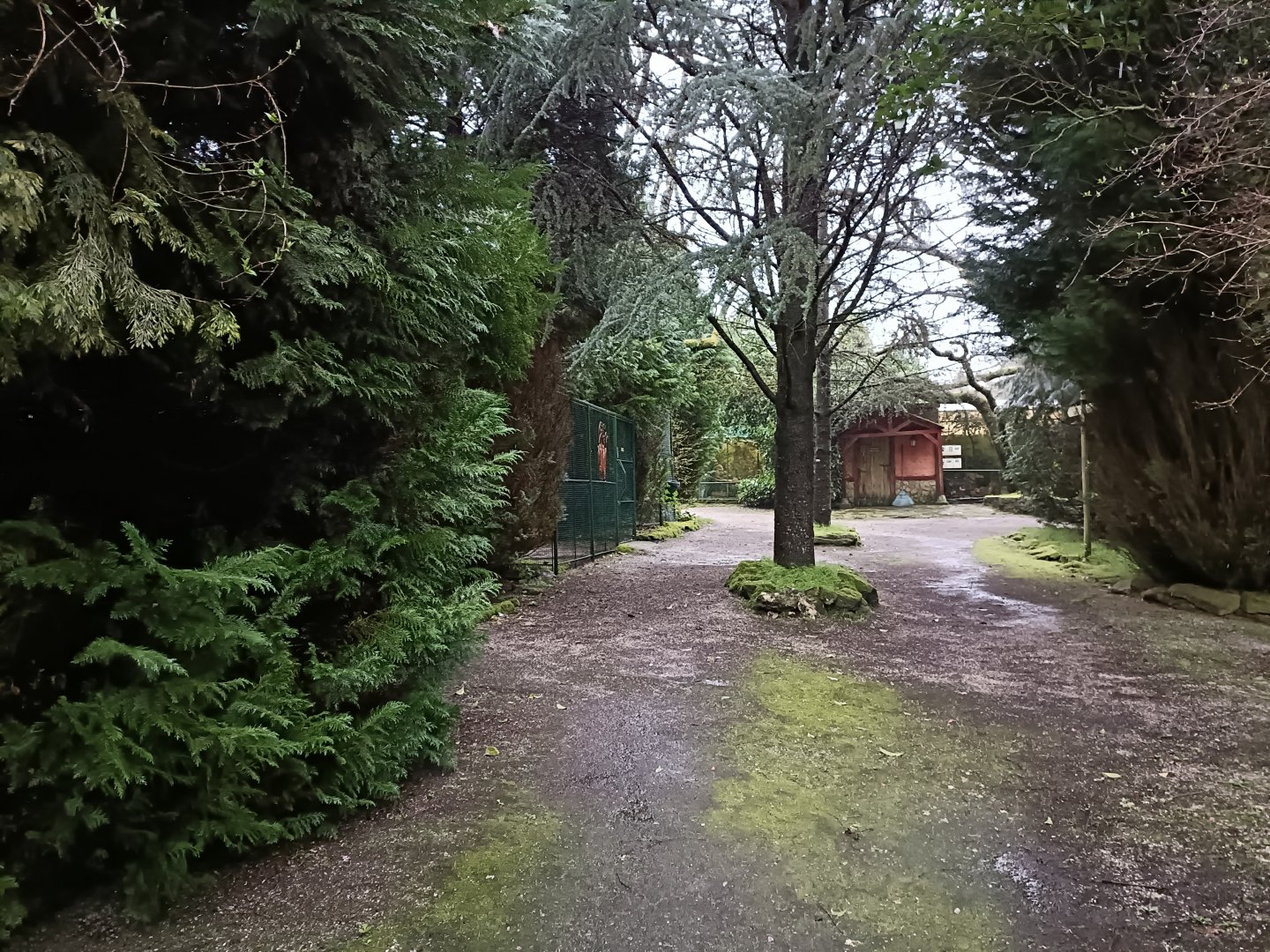 General view - Avifauna Lugo