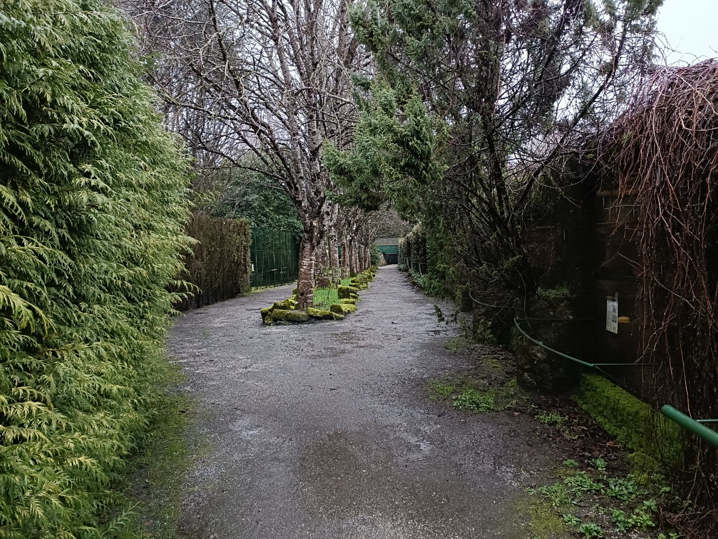 General view - Avifauna Lugo