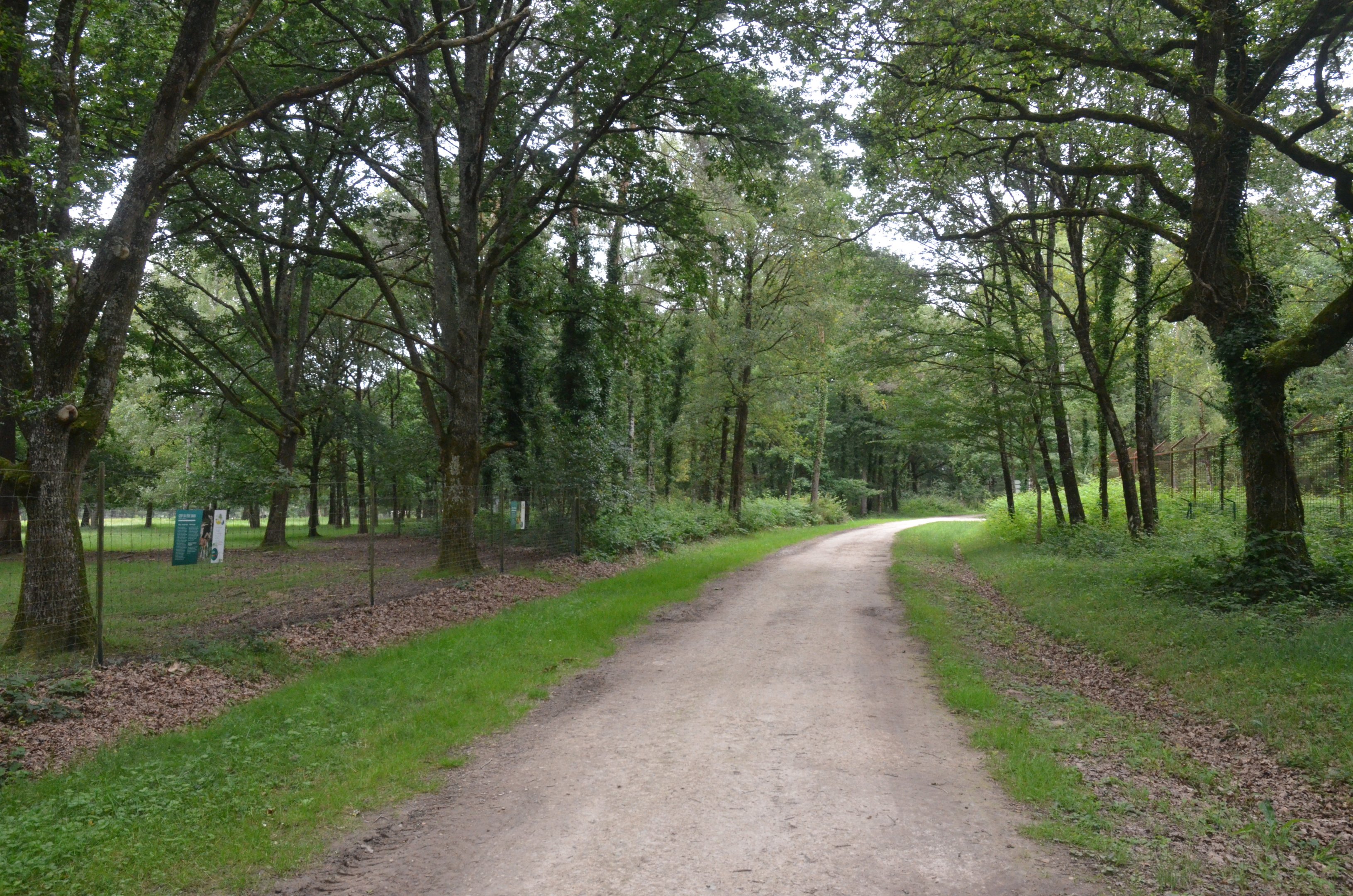 General View Between Deer and Carnivore Enclosures at Haute-Touche, 14/06/18