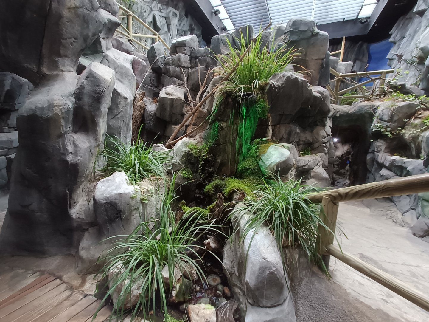 General view - Bioparc Acuario de Gijón