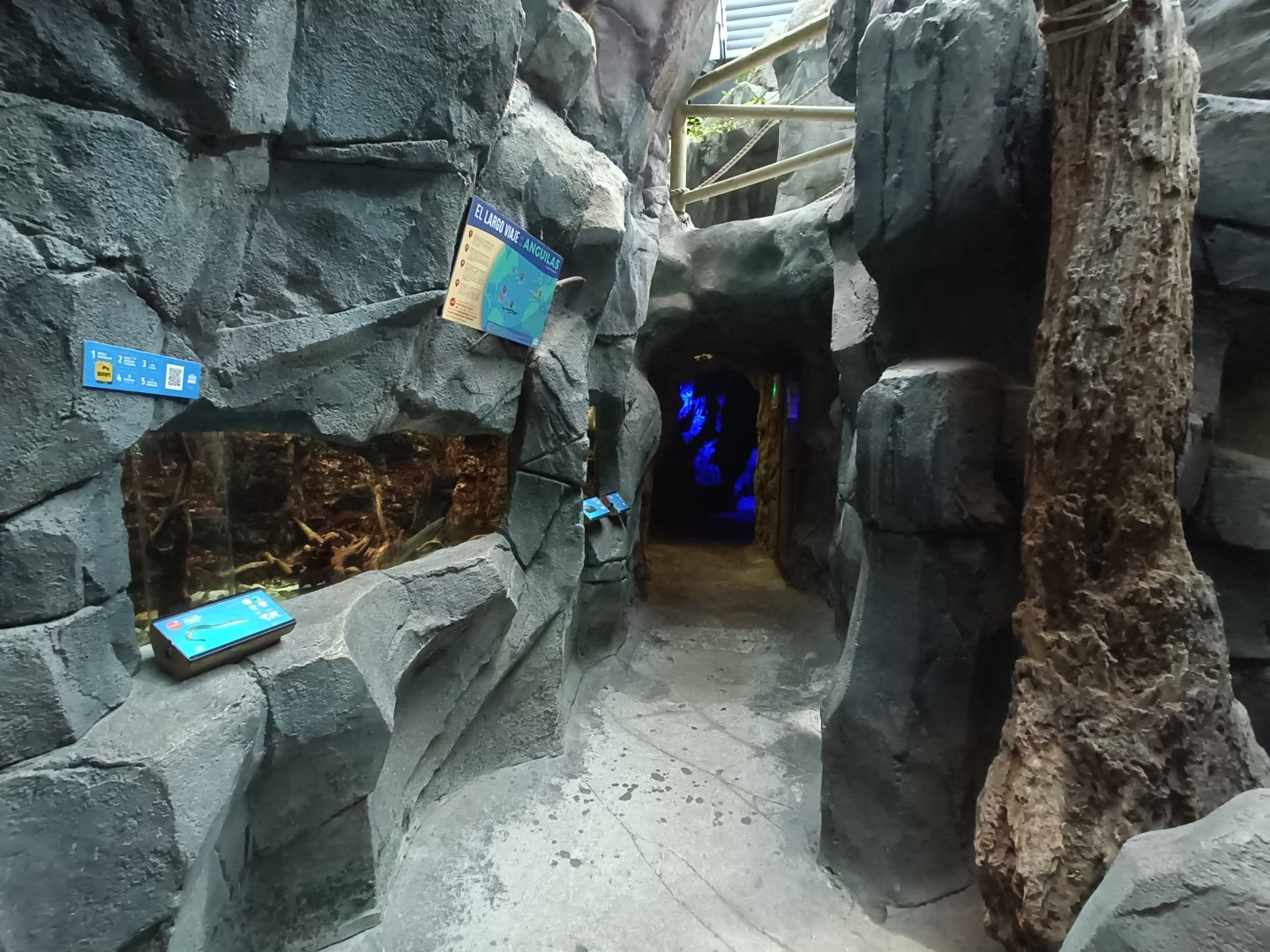 General view - Bioparc Acuario de Gijón