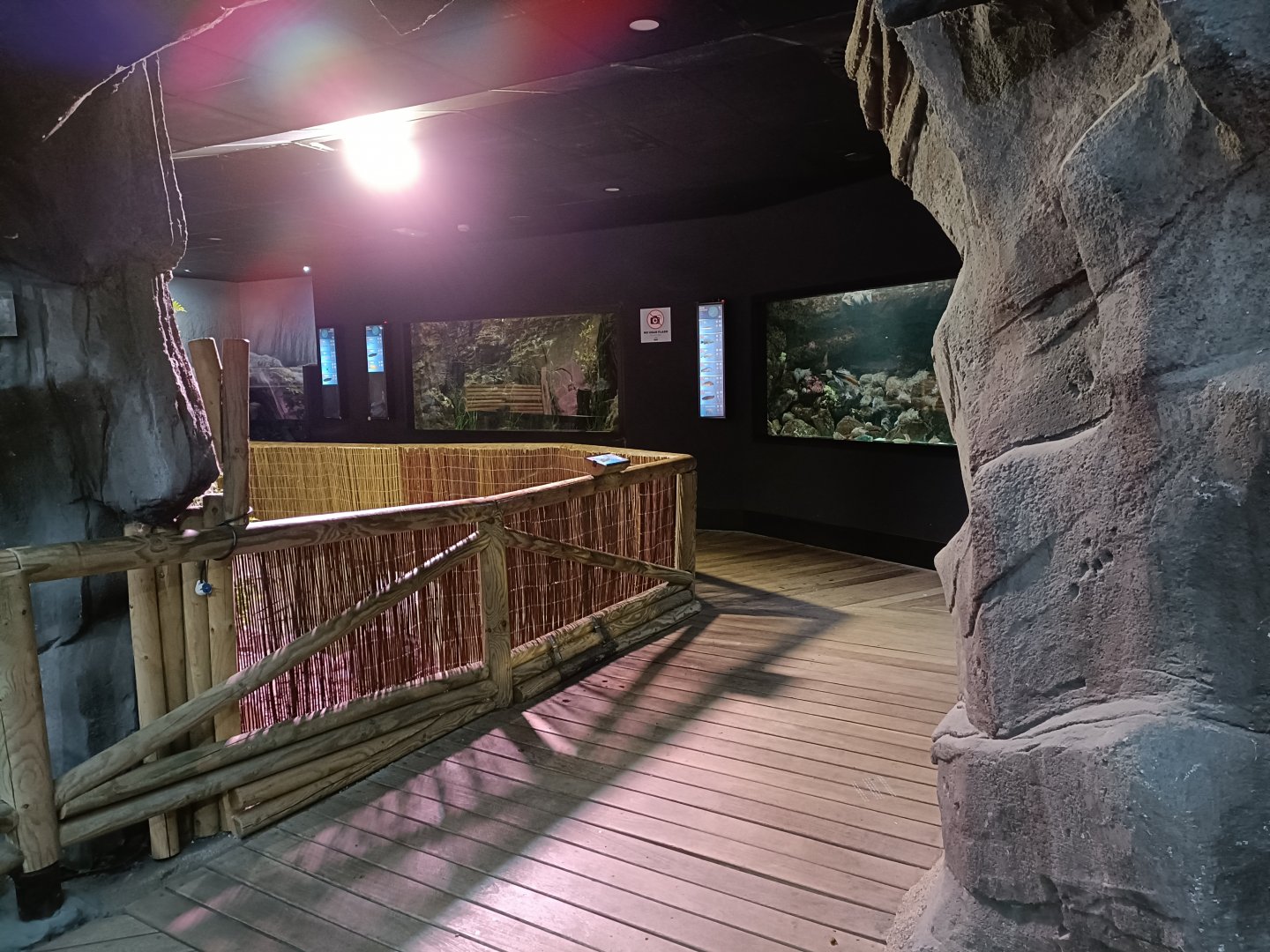 General view - Bioparc Acuario de Gijón