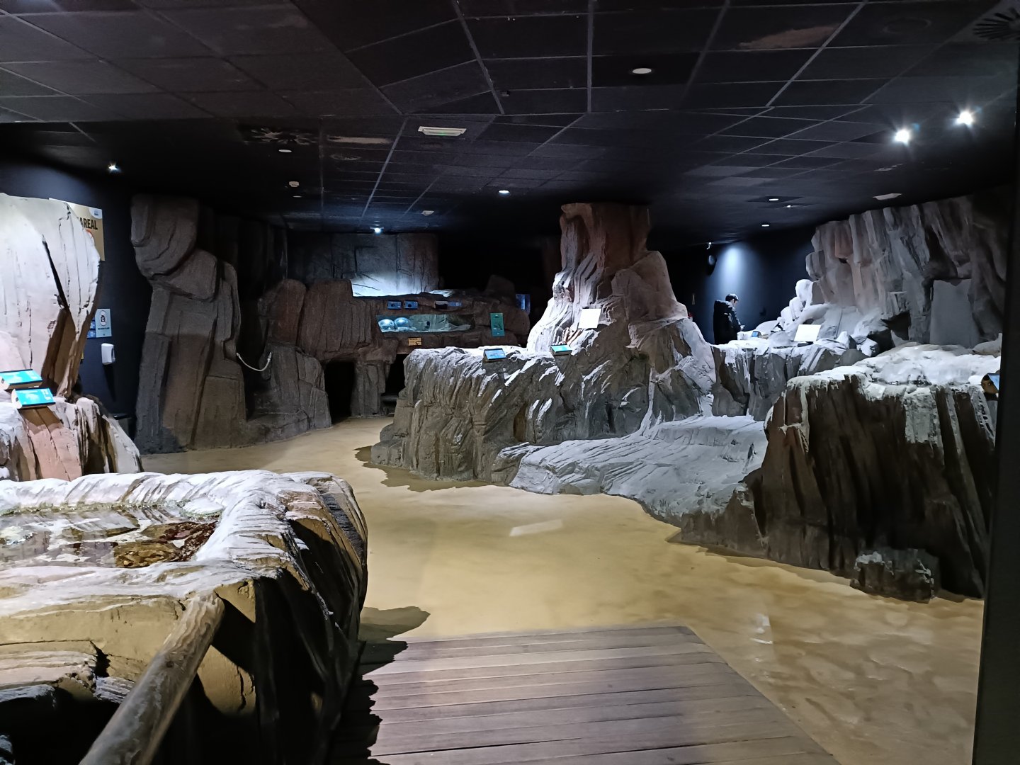 General view - Bioparc Acuario de Gijón