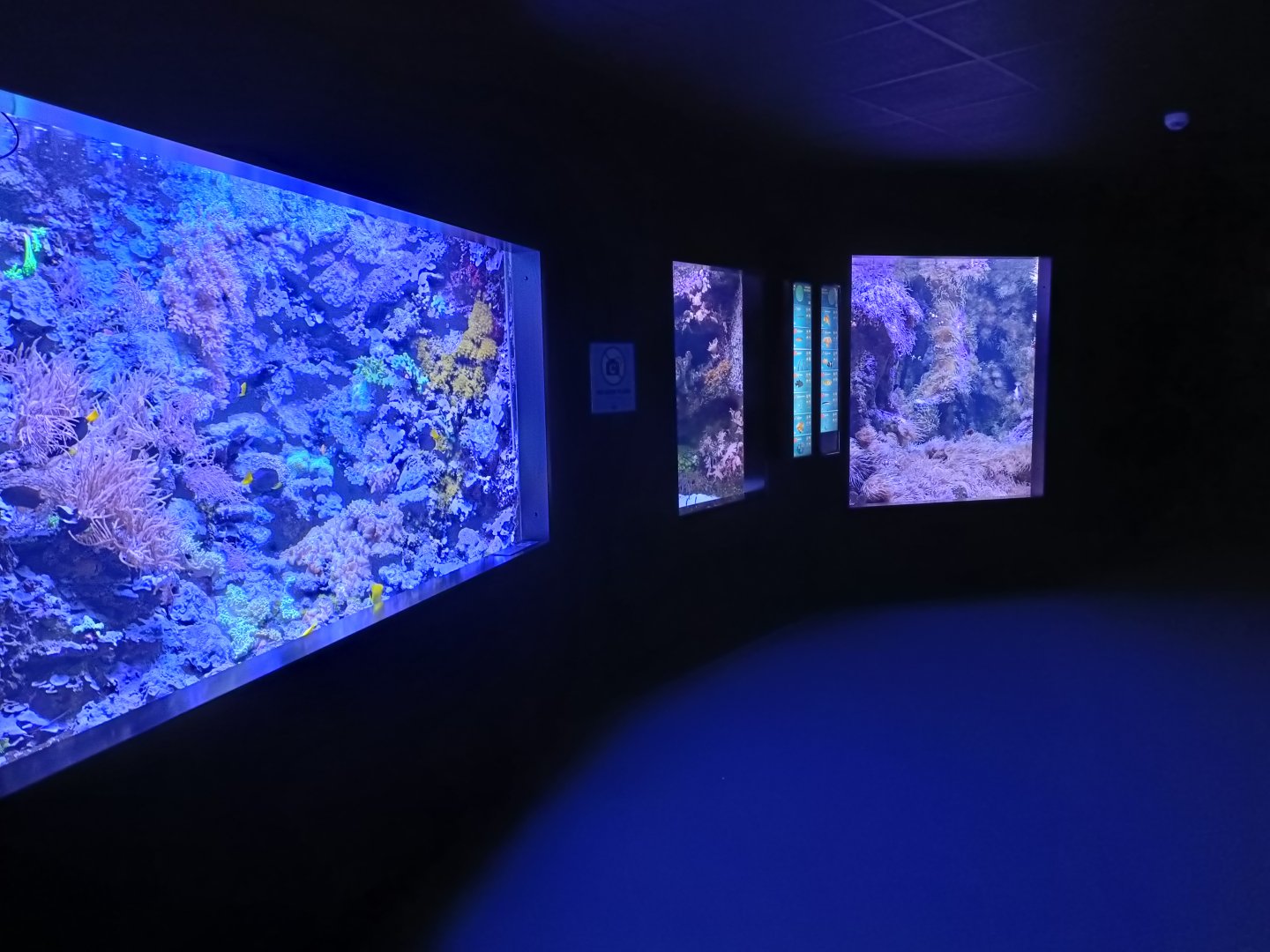 General view - Bioparc Acuario de Gijón