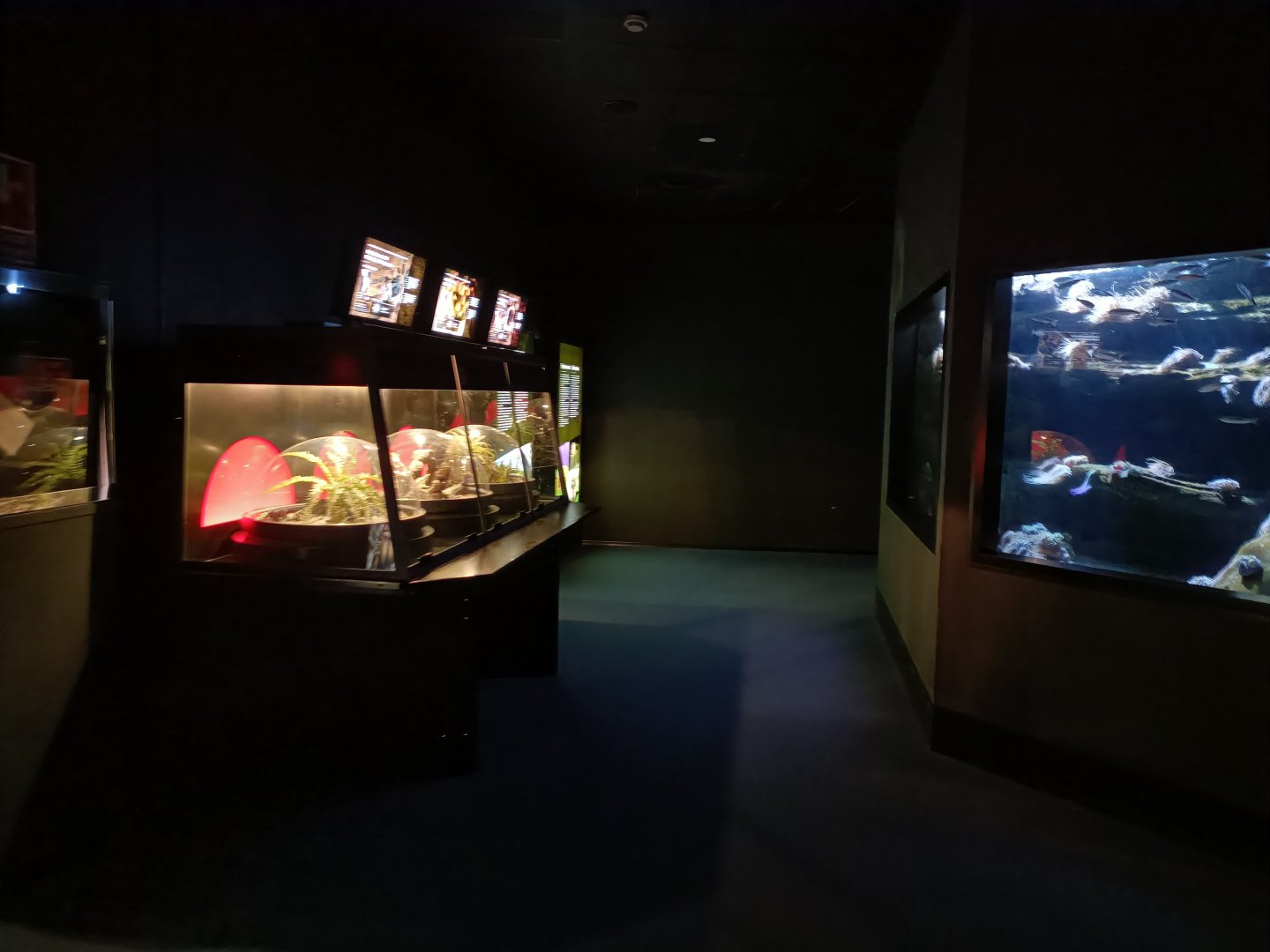 General view  - Bioparc Acuario de Gijón