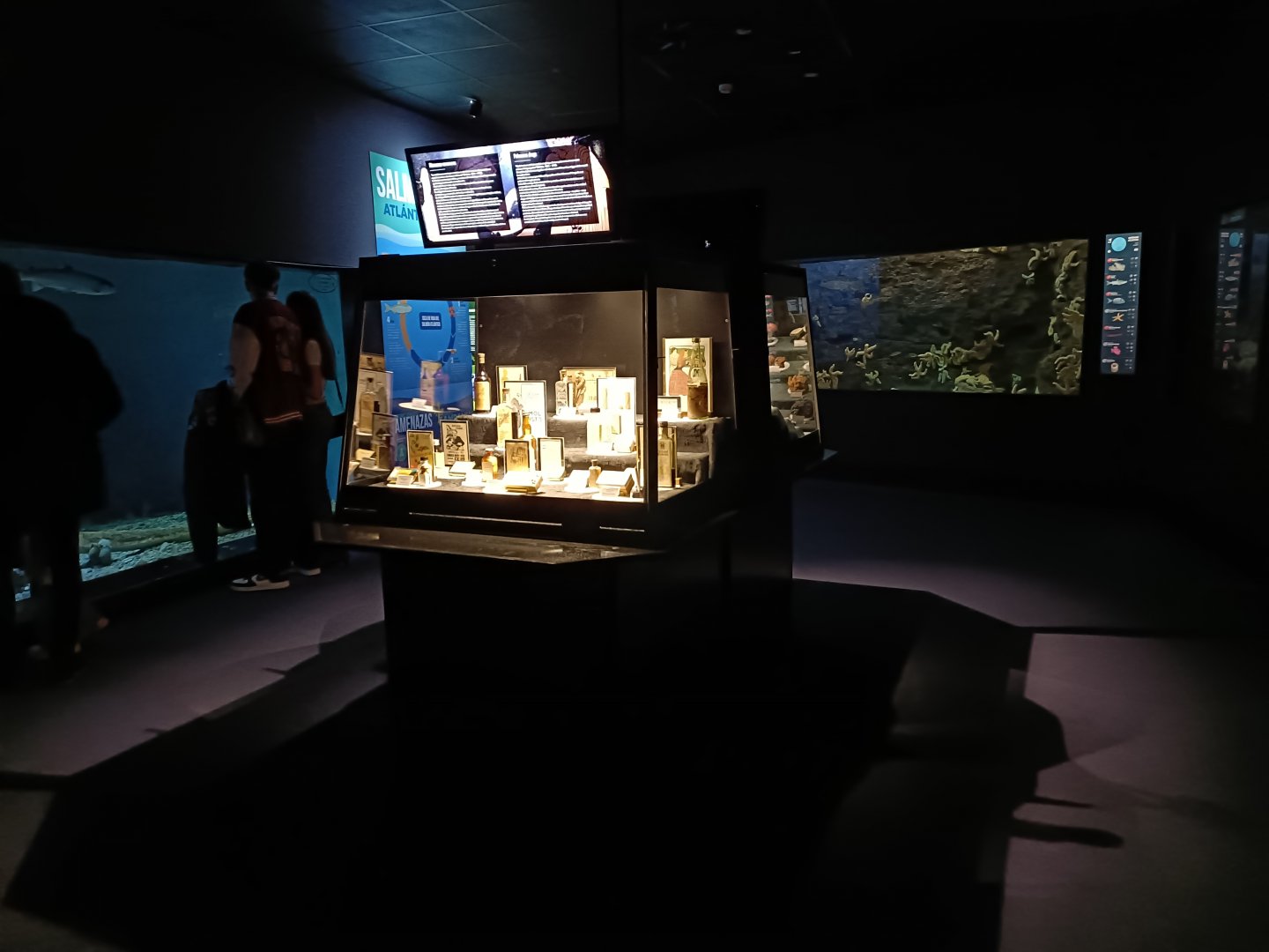 General view - Bioparc Acuario de Gijón