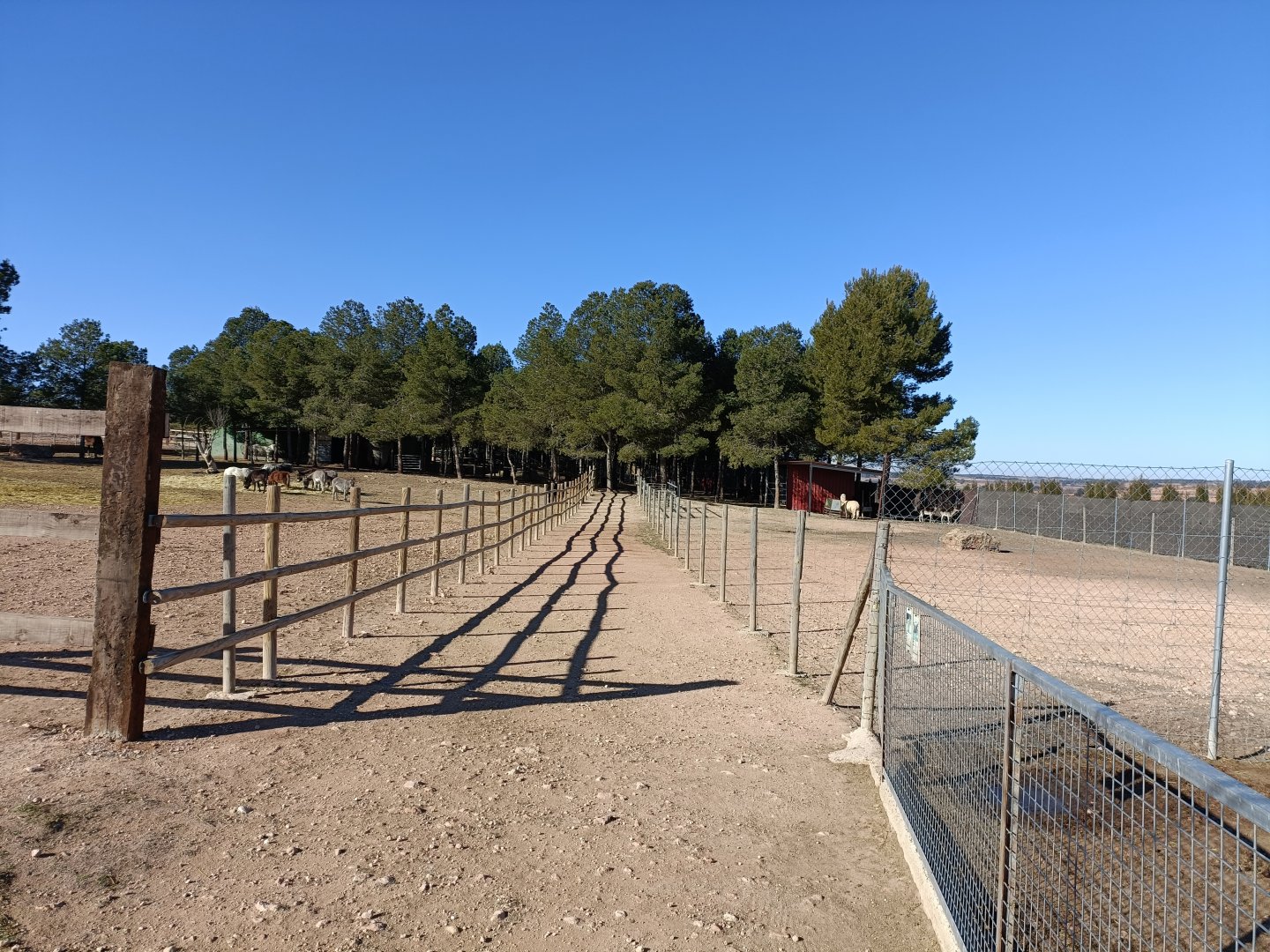 General view - Bioparque La Rocha