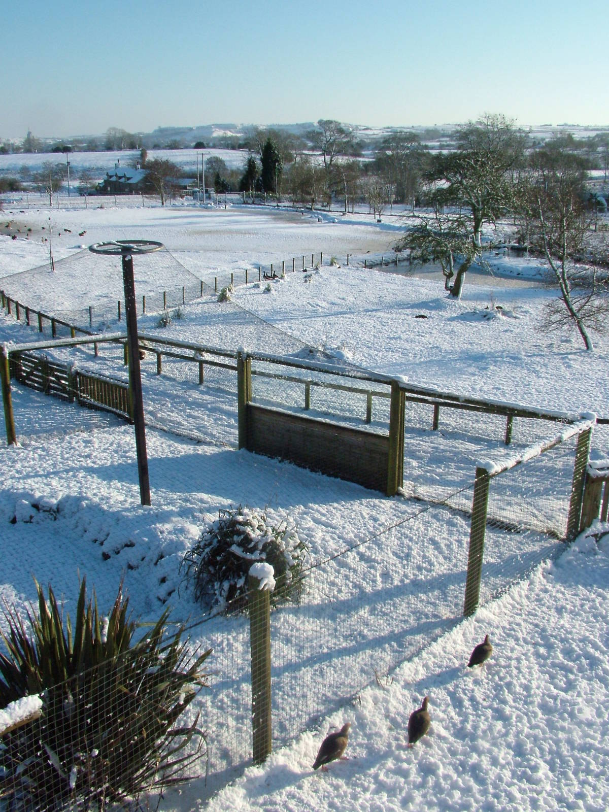 General view, Blackbrook in the Snow, 03/01/10