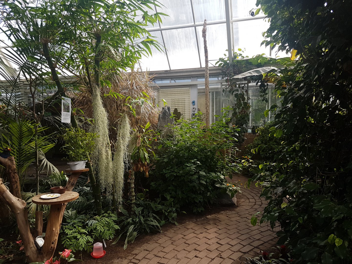 General view Butterfly-walk-through