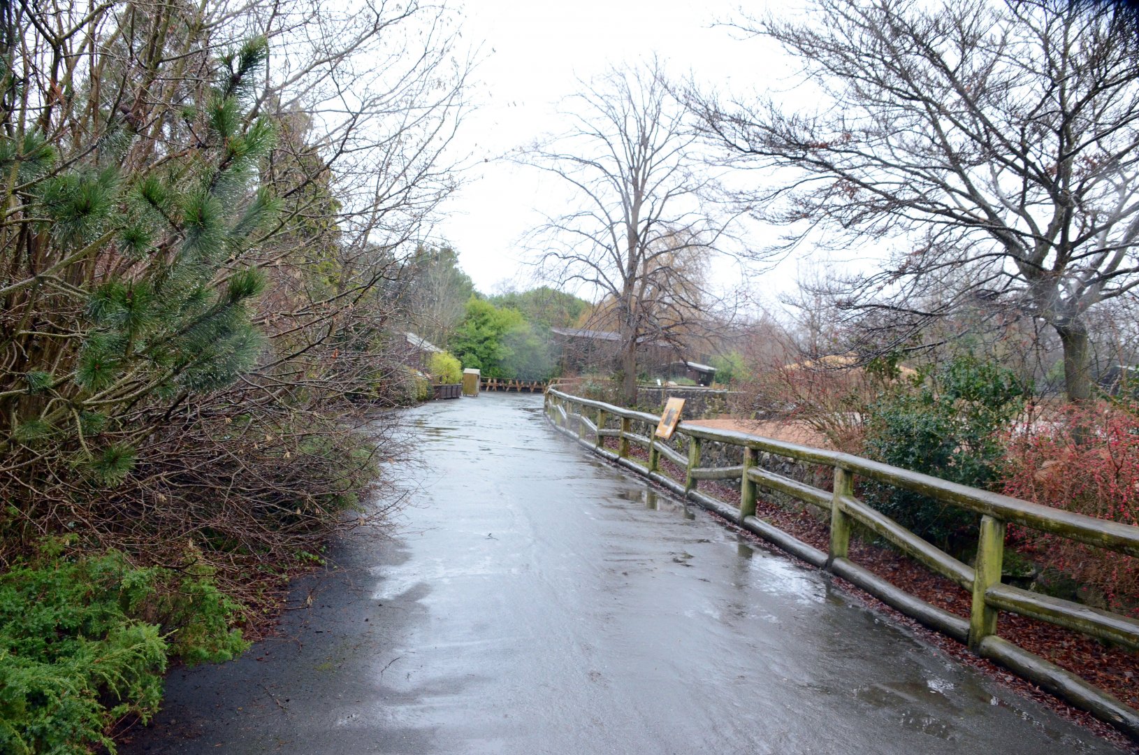 General view by the Camel & Onger exhibit