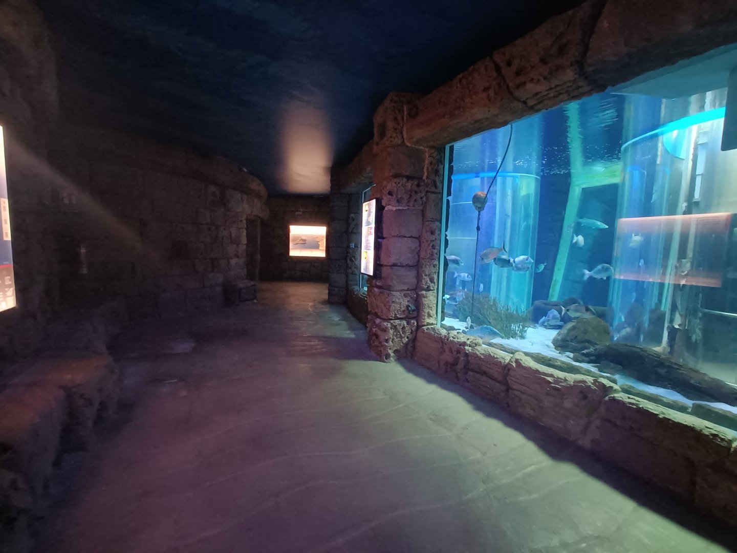 General view - Centro de visitantes Ses Salines