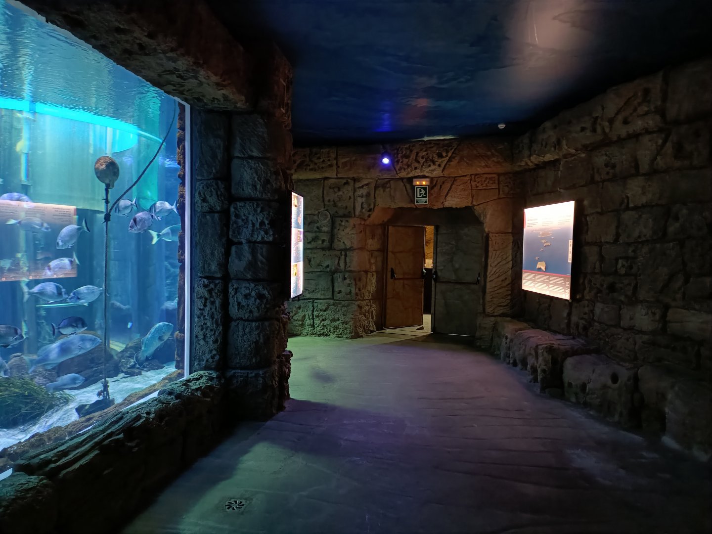 General view - Centro de visitantes Ses Salines