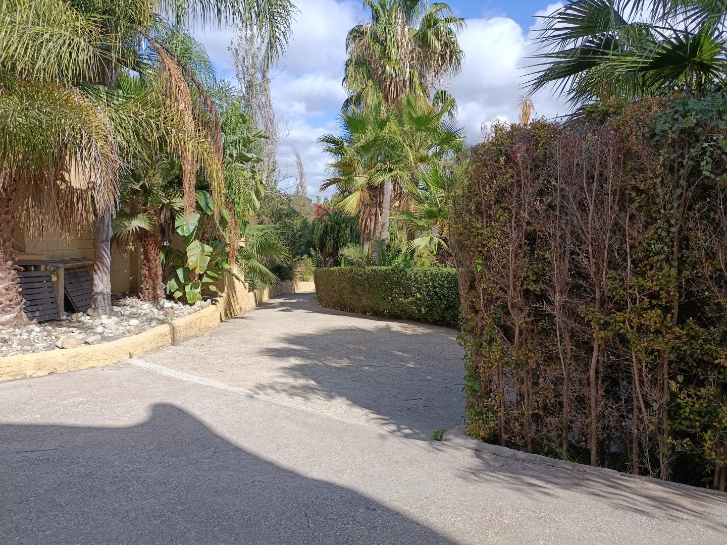 General view - Crocodile park Torremolinos