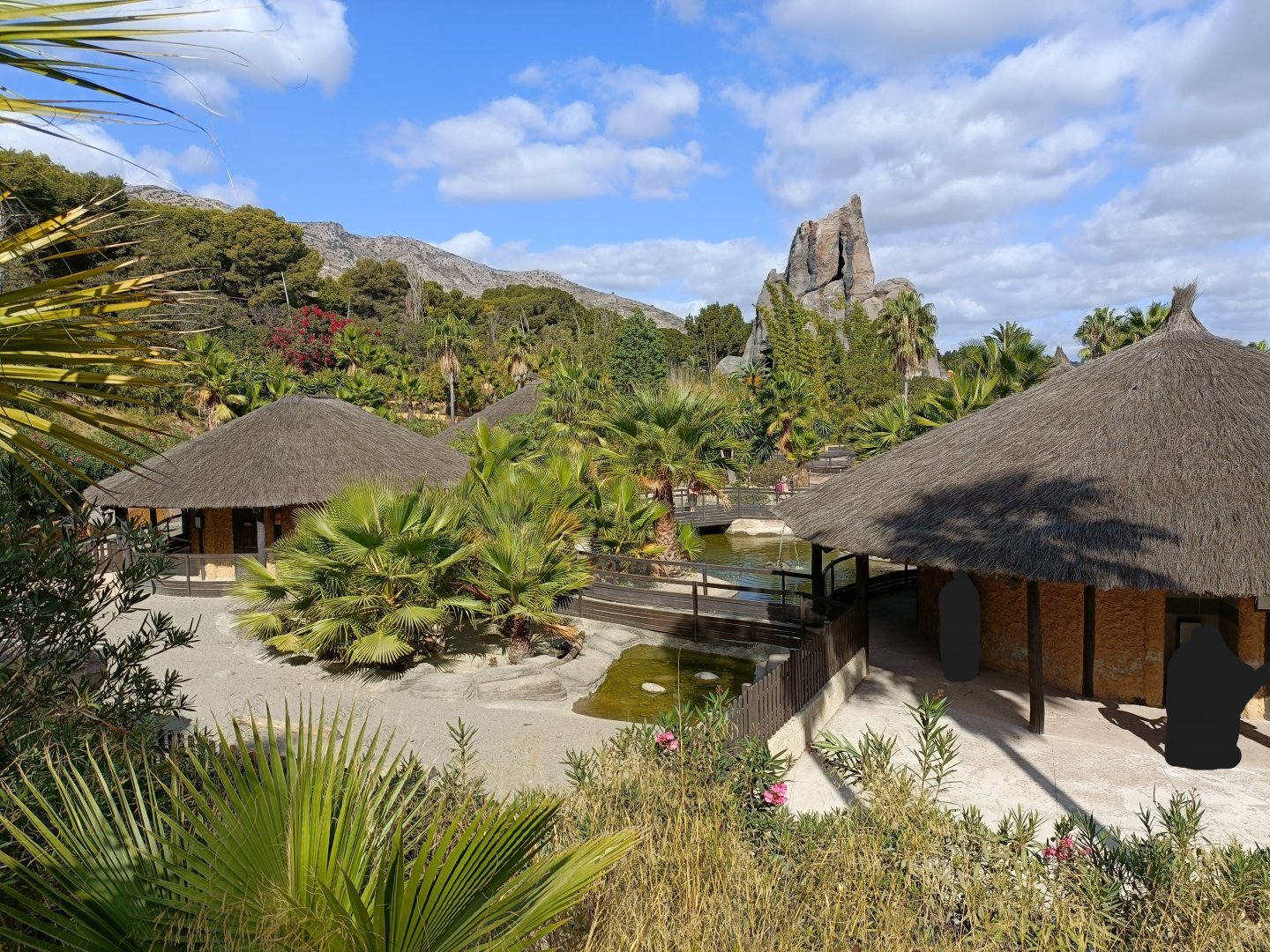 General view - Crocodile park Torremolinos