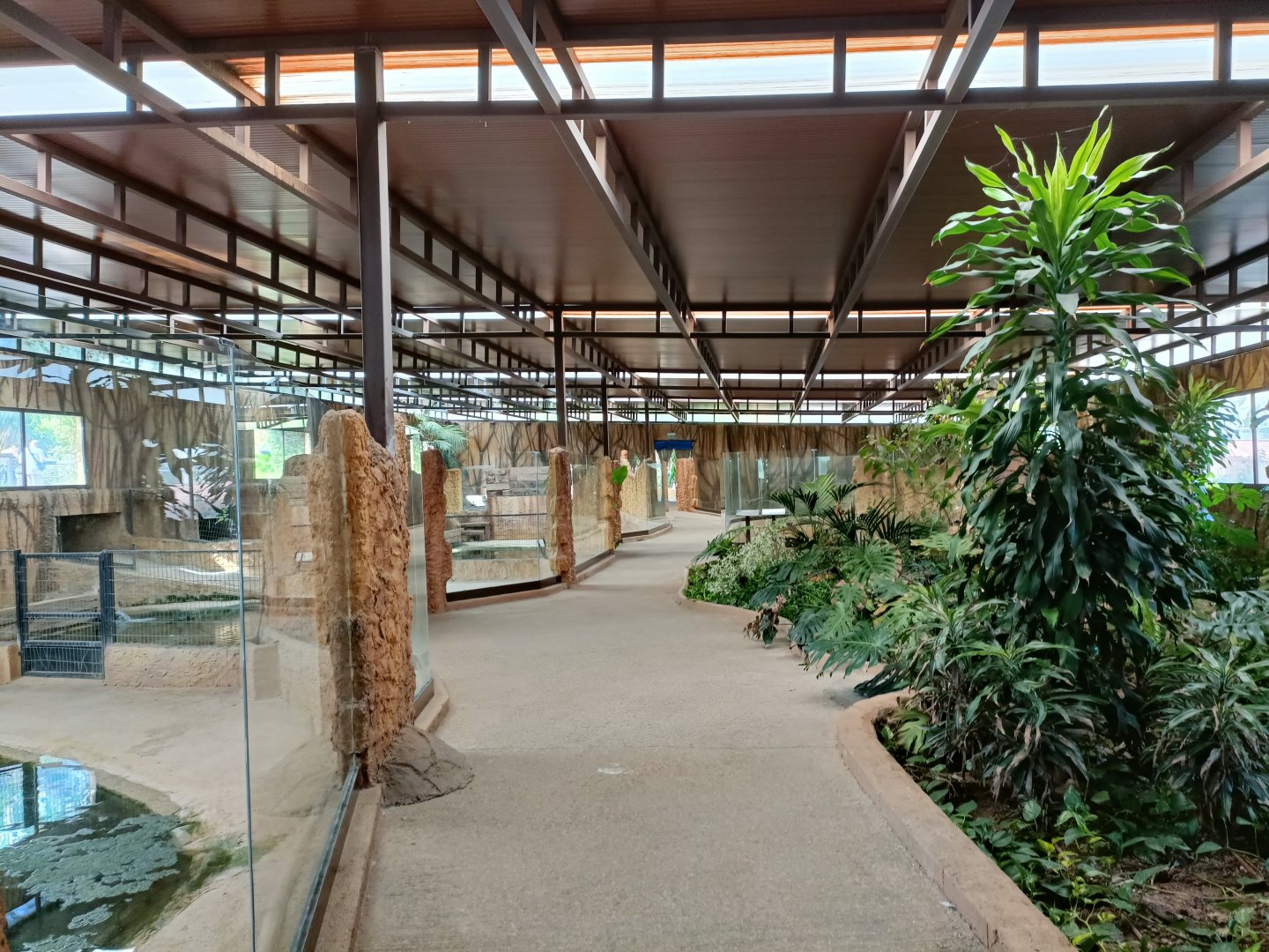 General view - Crocodile park Torremolinos