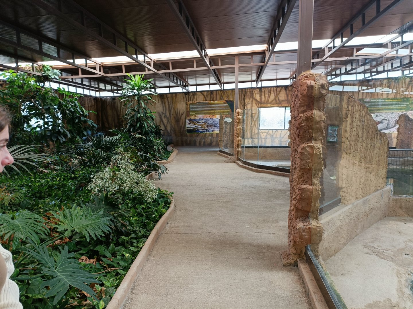 General view - Crocodile park Torremolinos