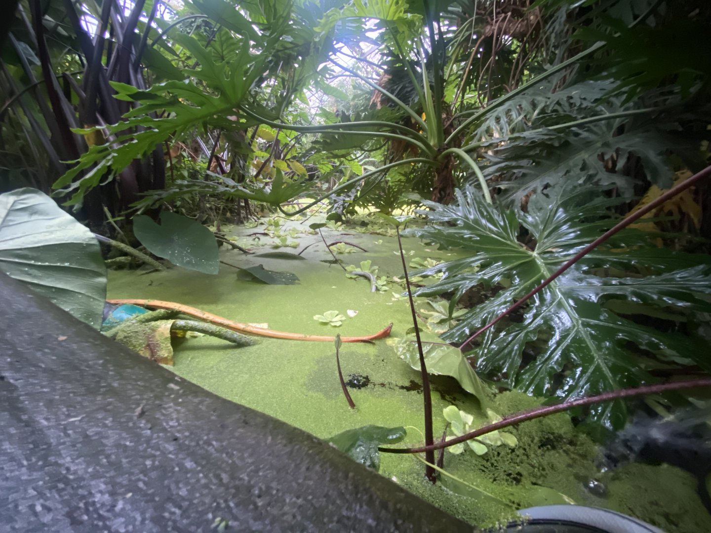 General view exhibit 050924