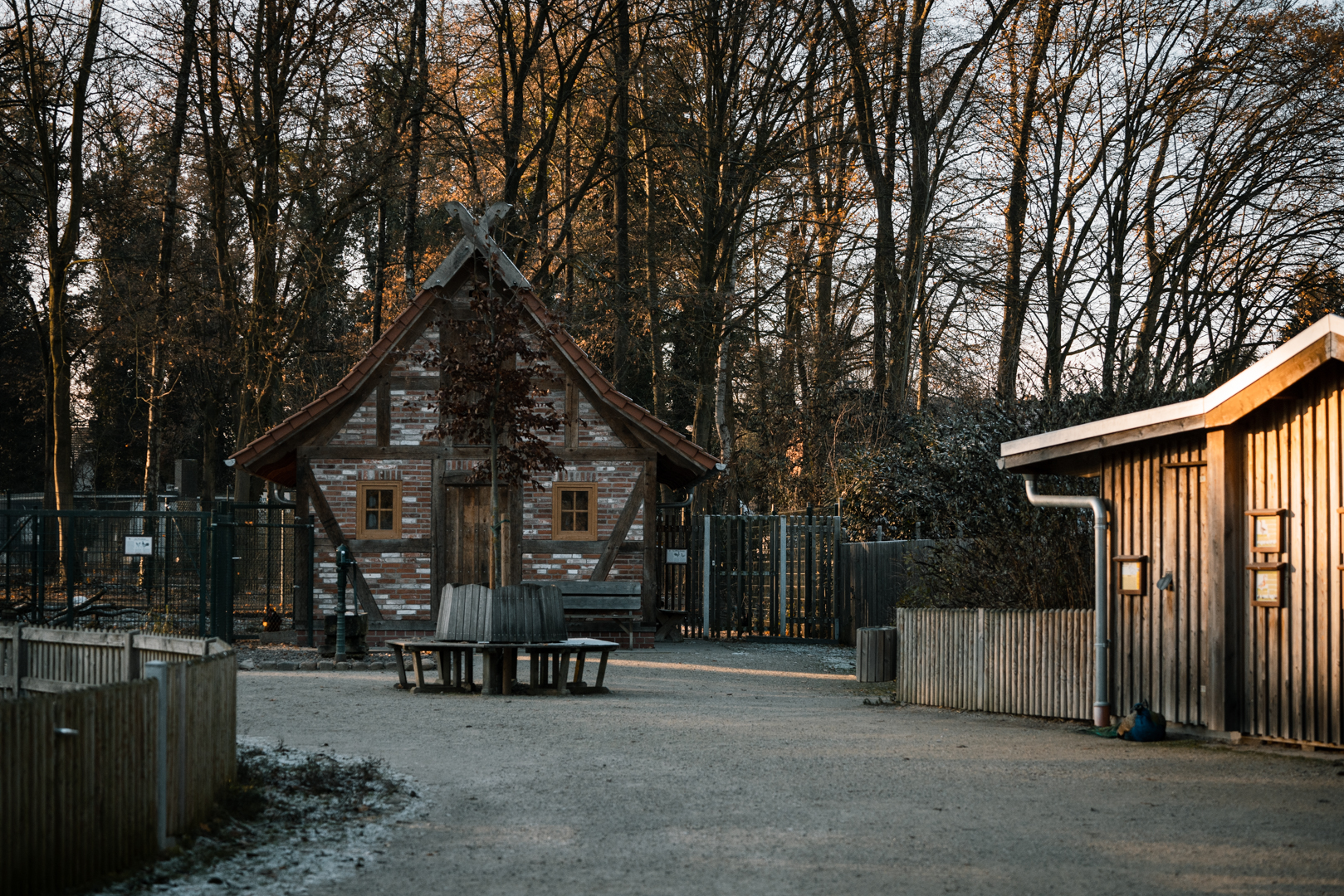 General view farm animals